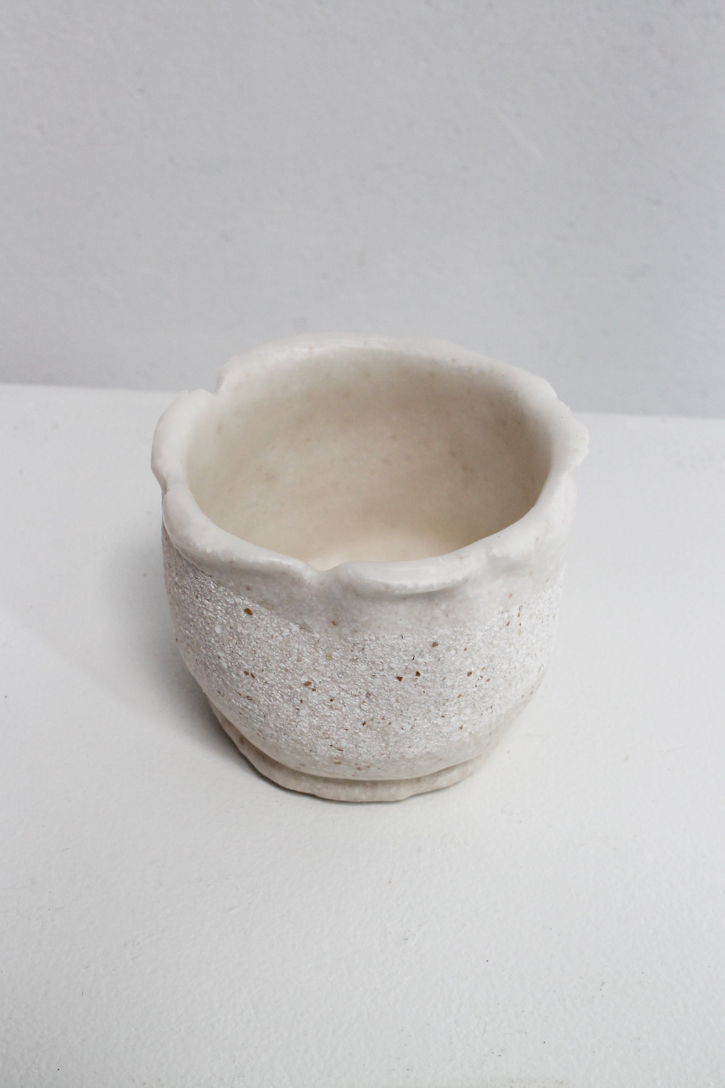 eggshell replanter 27.1.jpg