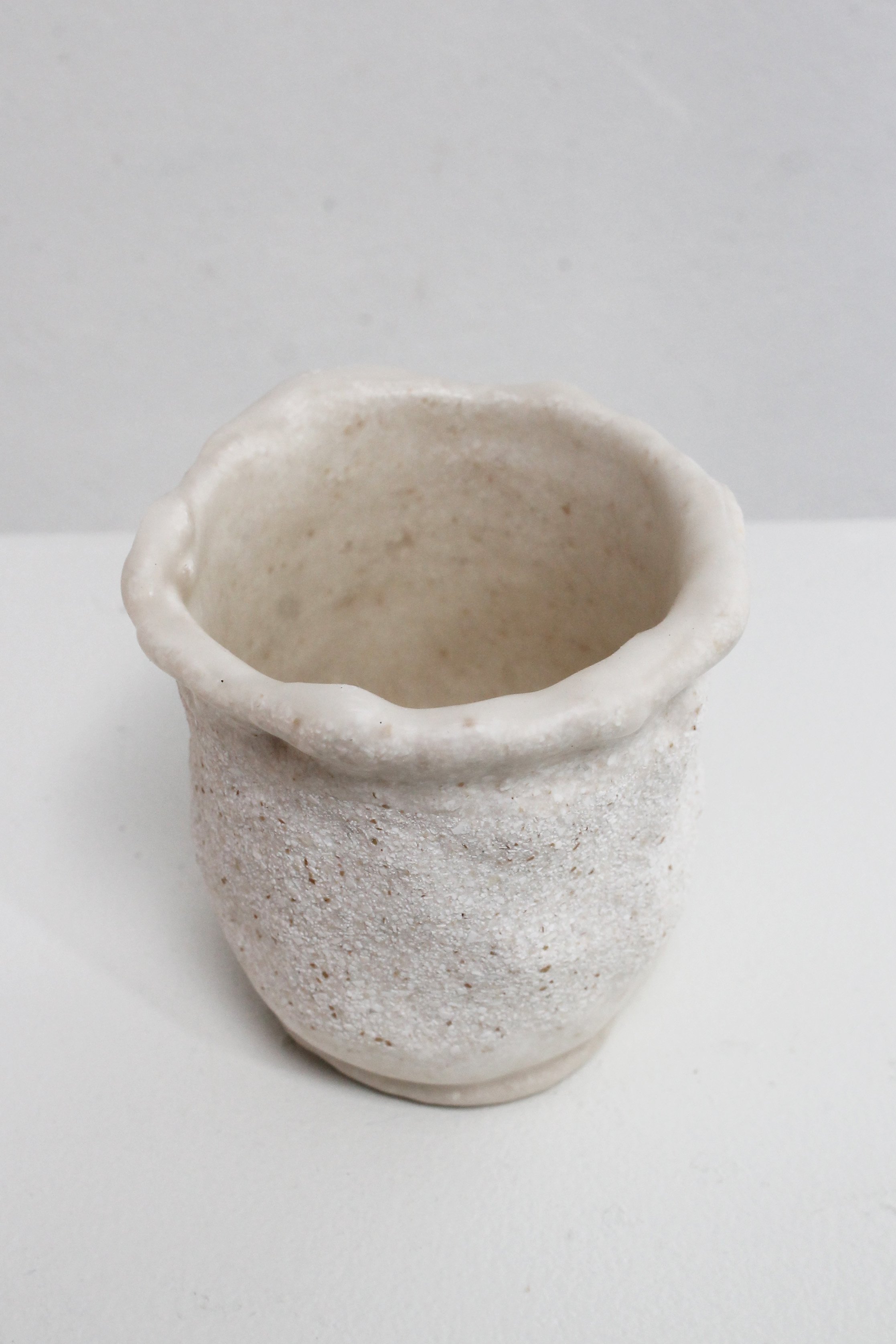 eggshell replanter 26.2.jpg