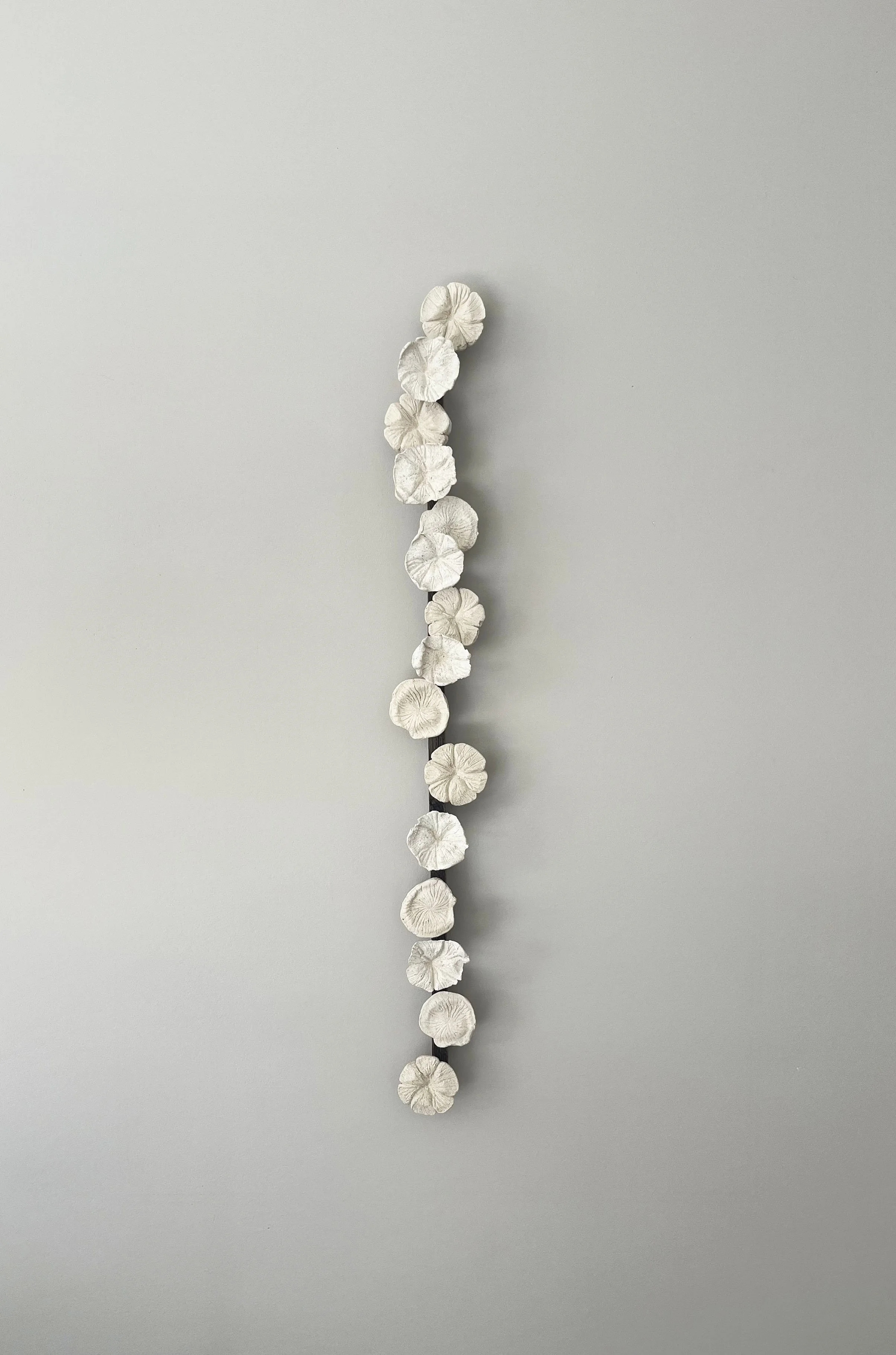 meraki2026 large size.jpg