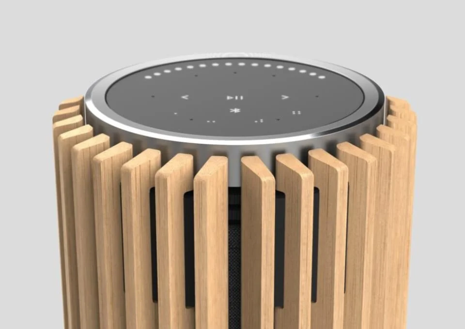 BeoLab 28 Controllpanel Fux-AG.ch.JPG