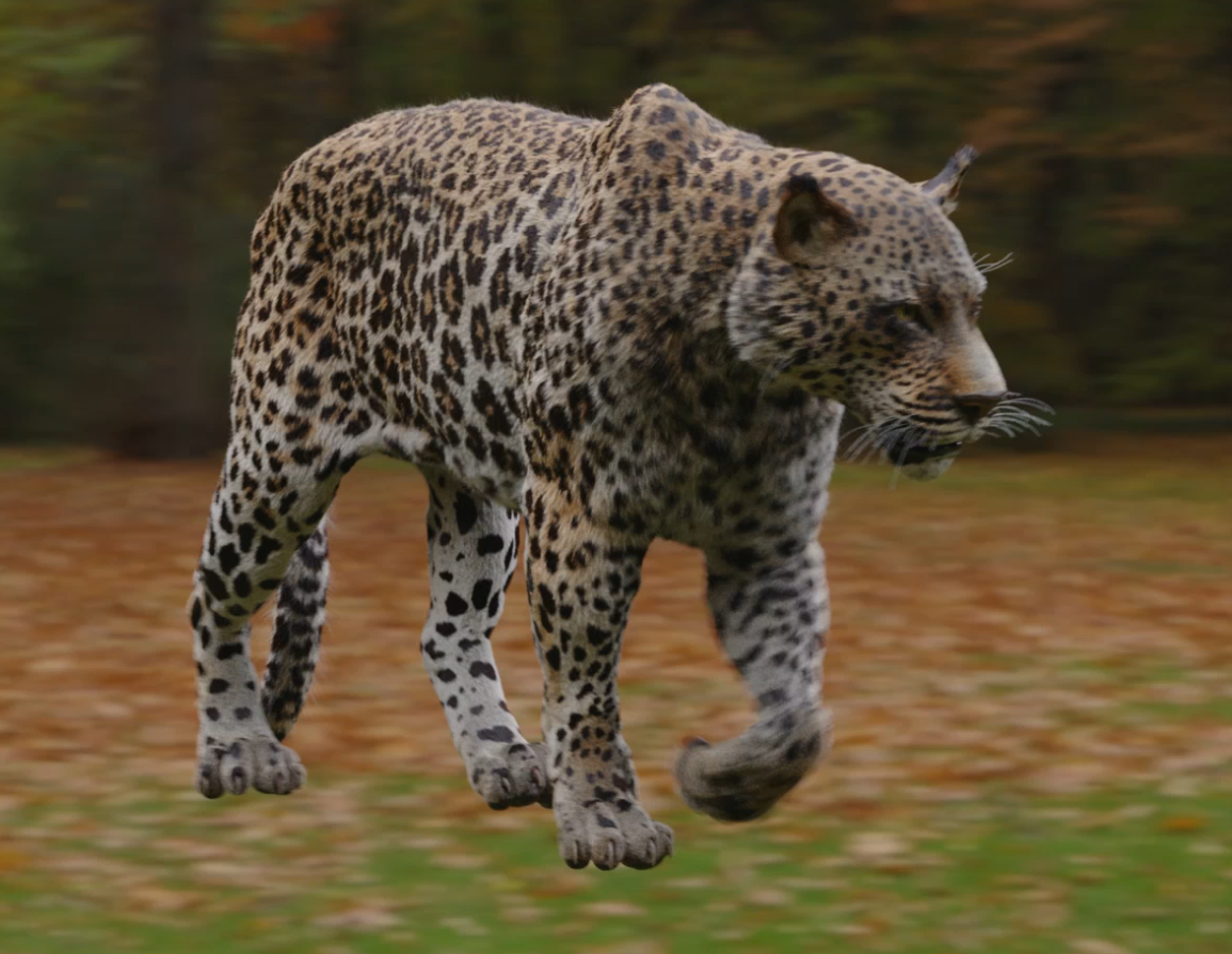 jag.png