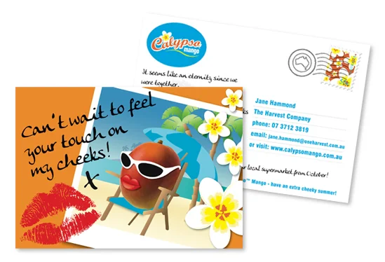 CalypsoMangoPostcard.jpg