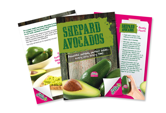simplygreen-a6-recipe-leaflet.jpg