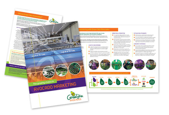 GreenSkinAvo-Brochure.jpg