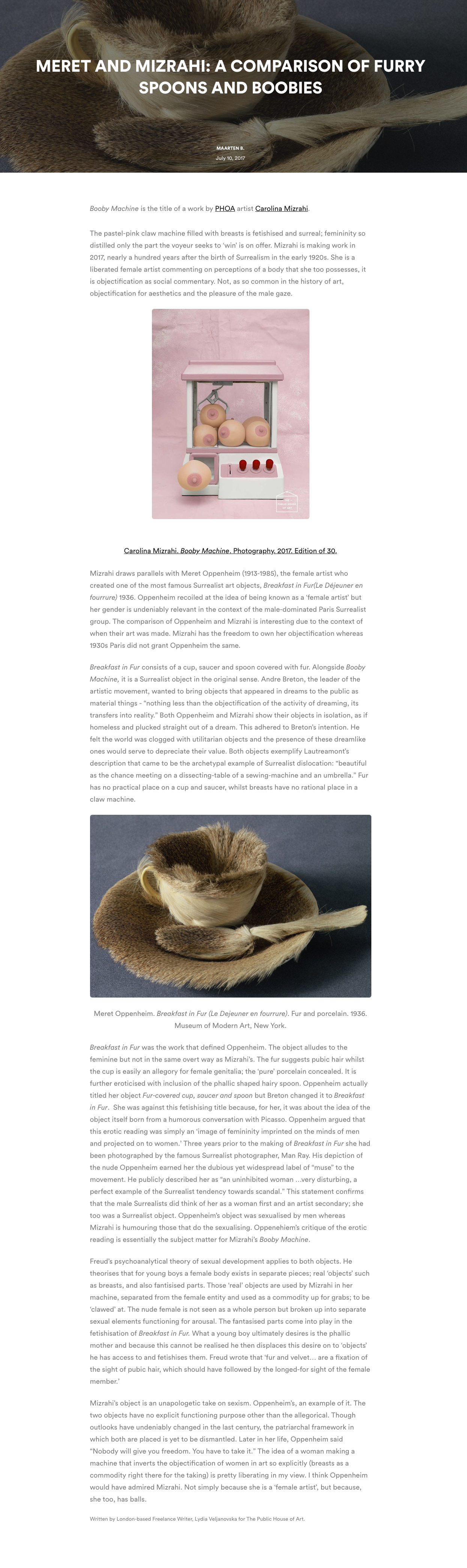 screencapture-publichouseofart-blog-meret-and-mizrahi-a-comparison-of-furry-spoons-and-boobies-2019-04-01-18_28_57.png