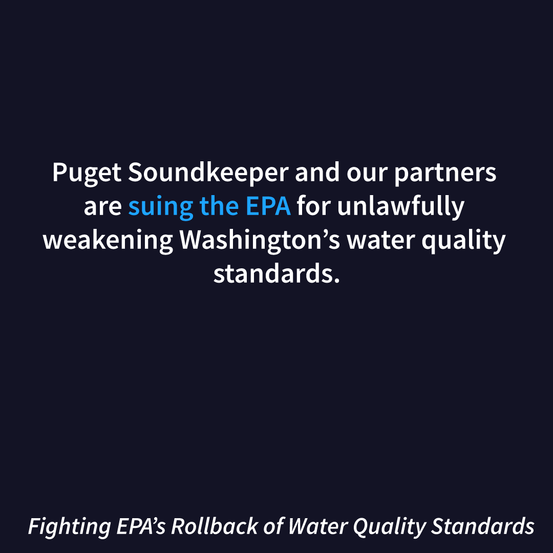 WQS-Social-Posts14.png
