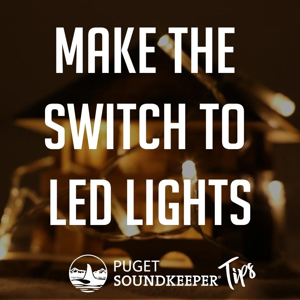 LEDLights-0min1-01.jpg