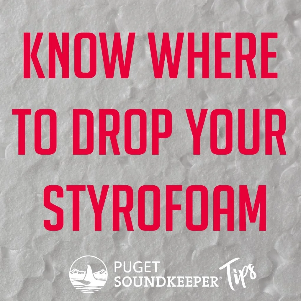 KnowStyrofoamMin-01.jpg