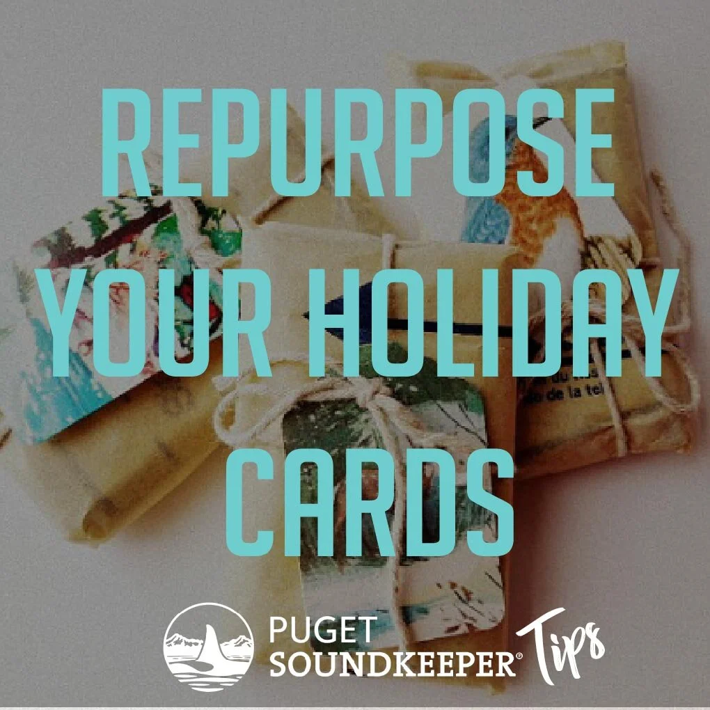 HolidayCards-01Min-01.jpg