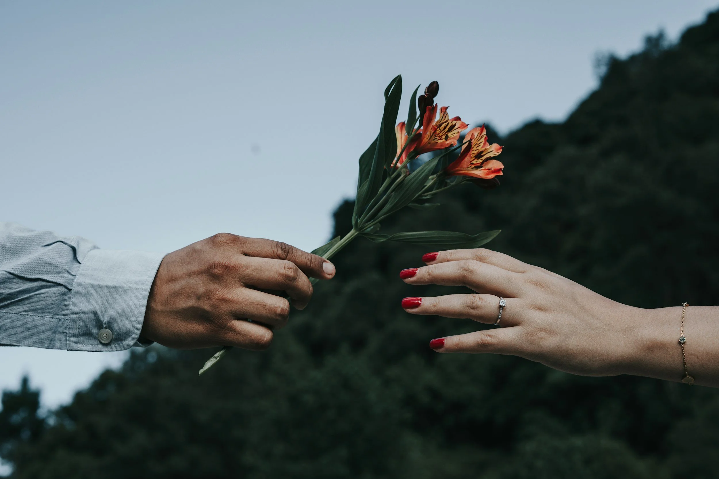 unsplash-image-hA1AK_xK_-Y.jpg
