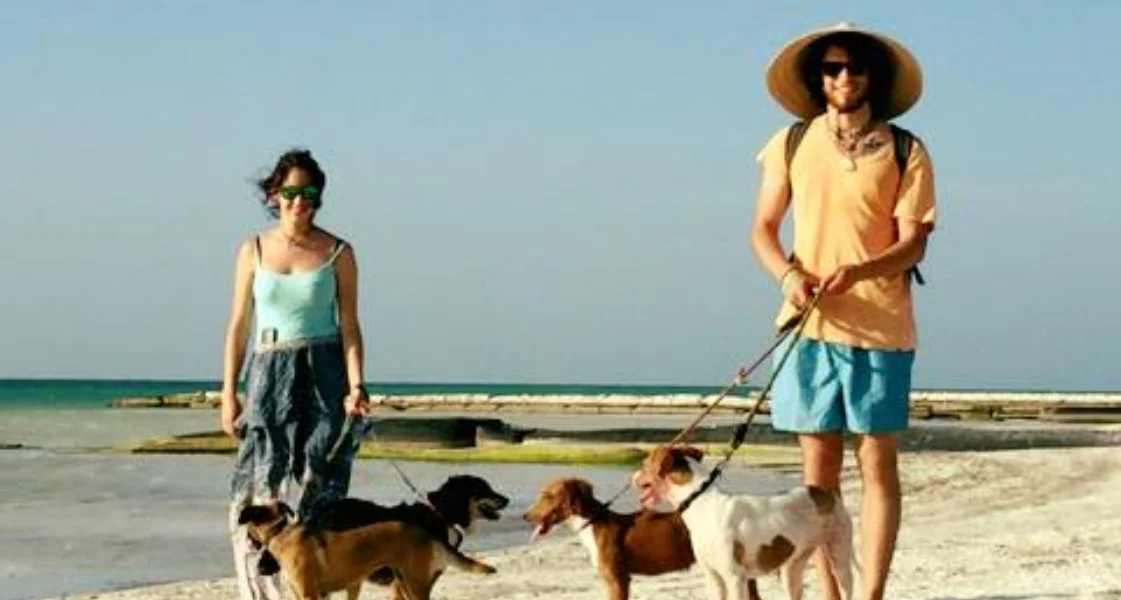 refugio-dogwalking-holbox.jpg