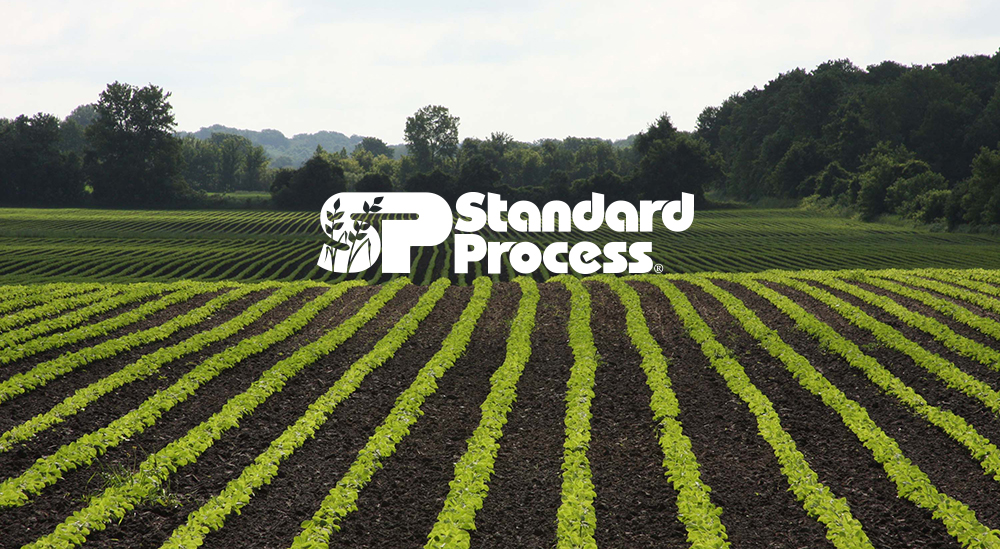 standard-process_product-page.jpg