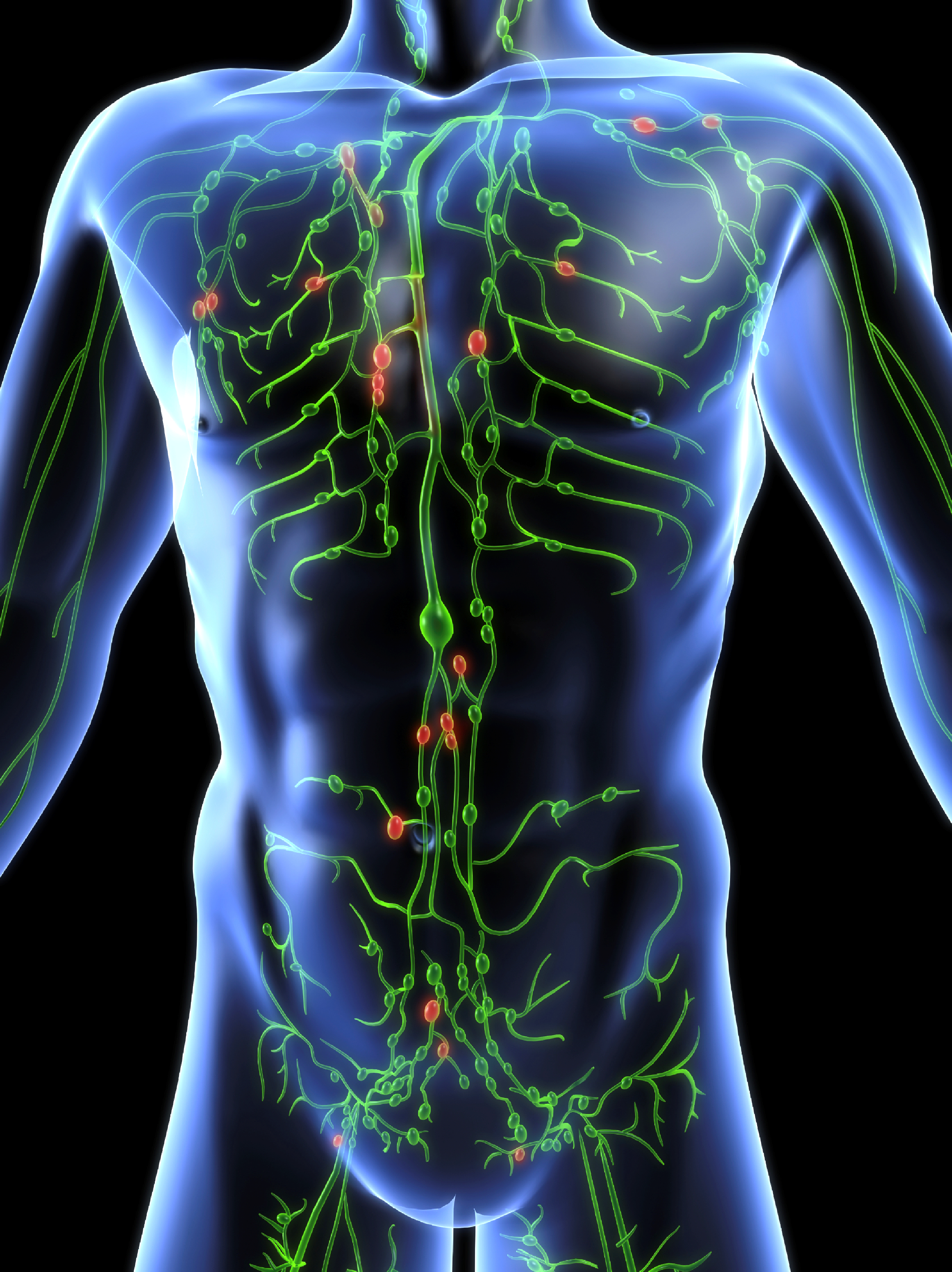 What-is-lymph-nodes.png