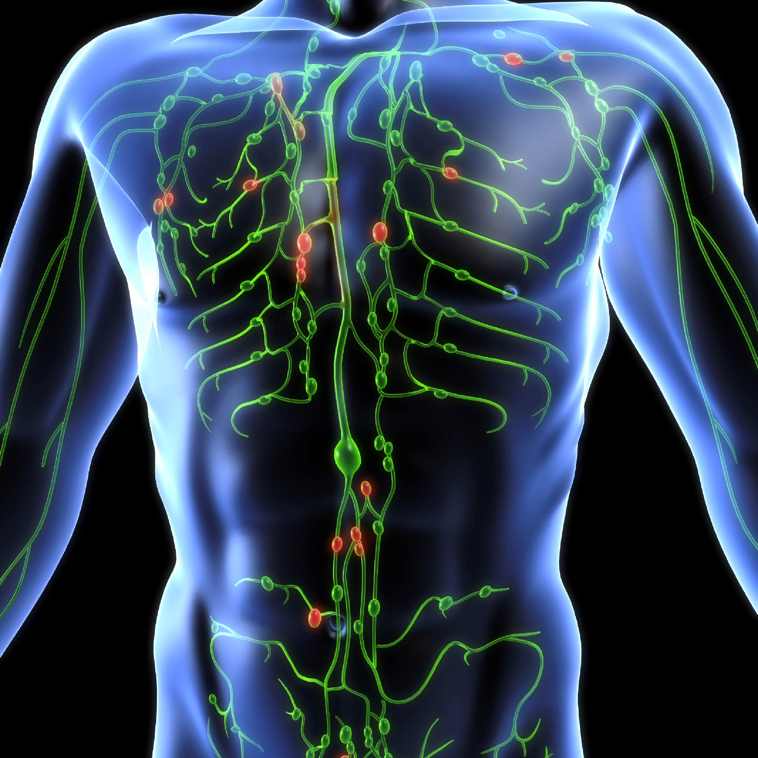 What-is-lymph-nodes.png