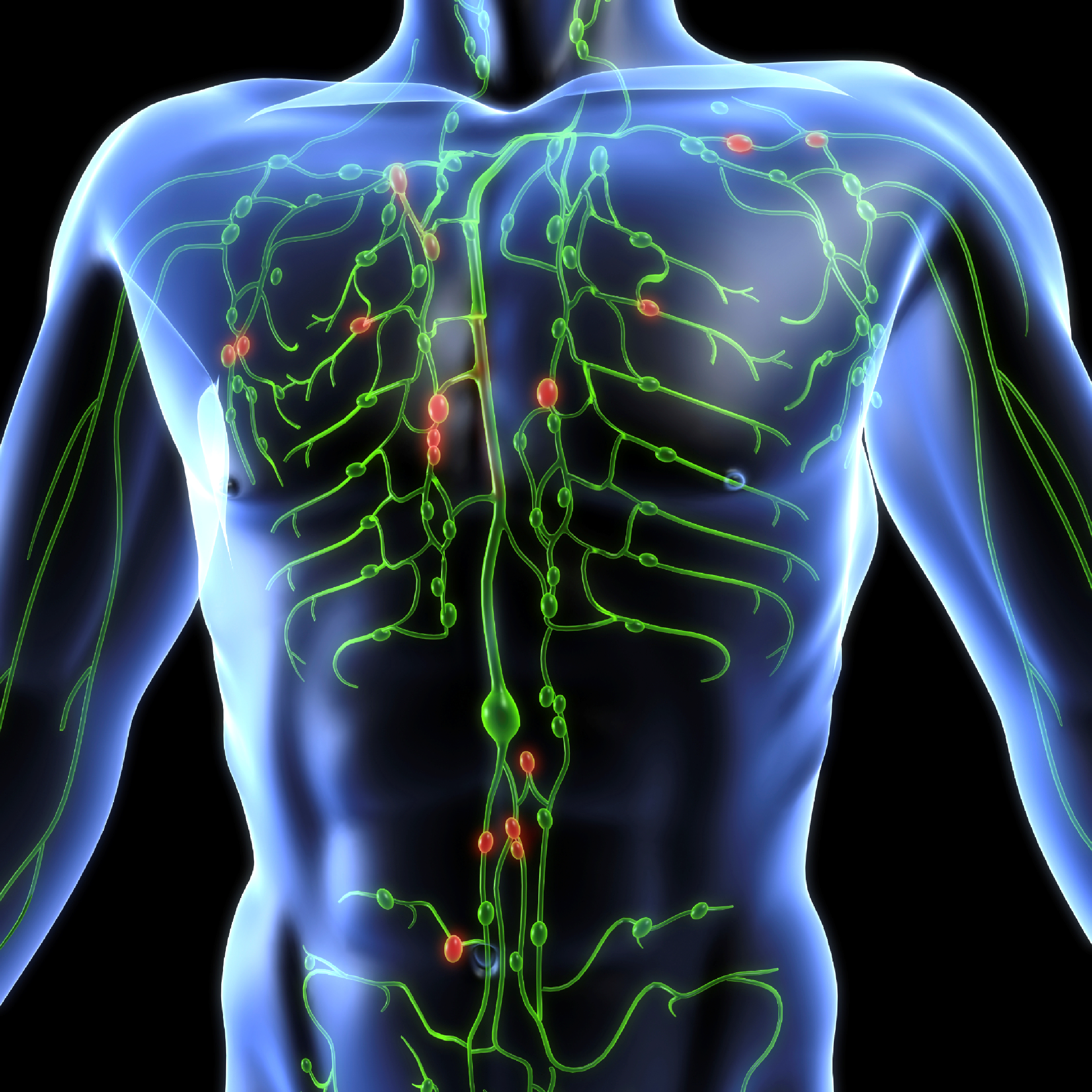 What-is-lymph-nodes.png
