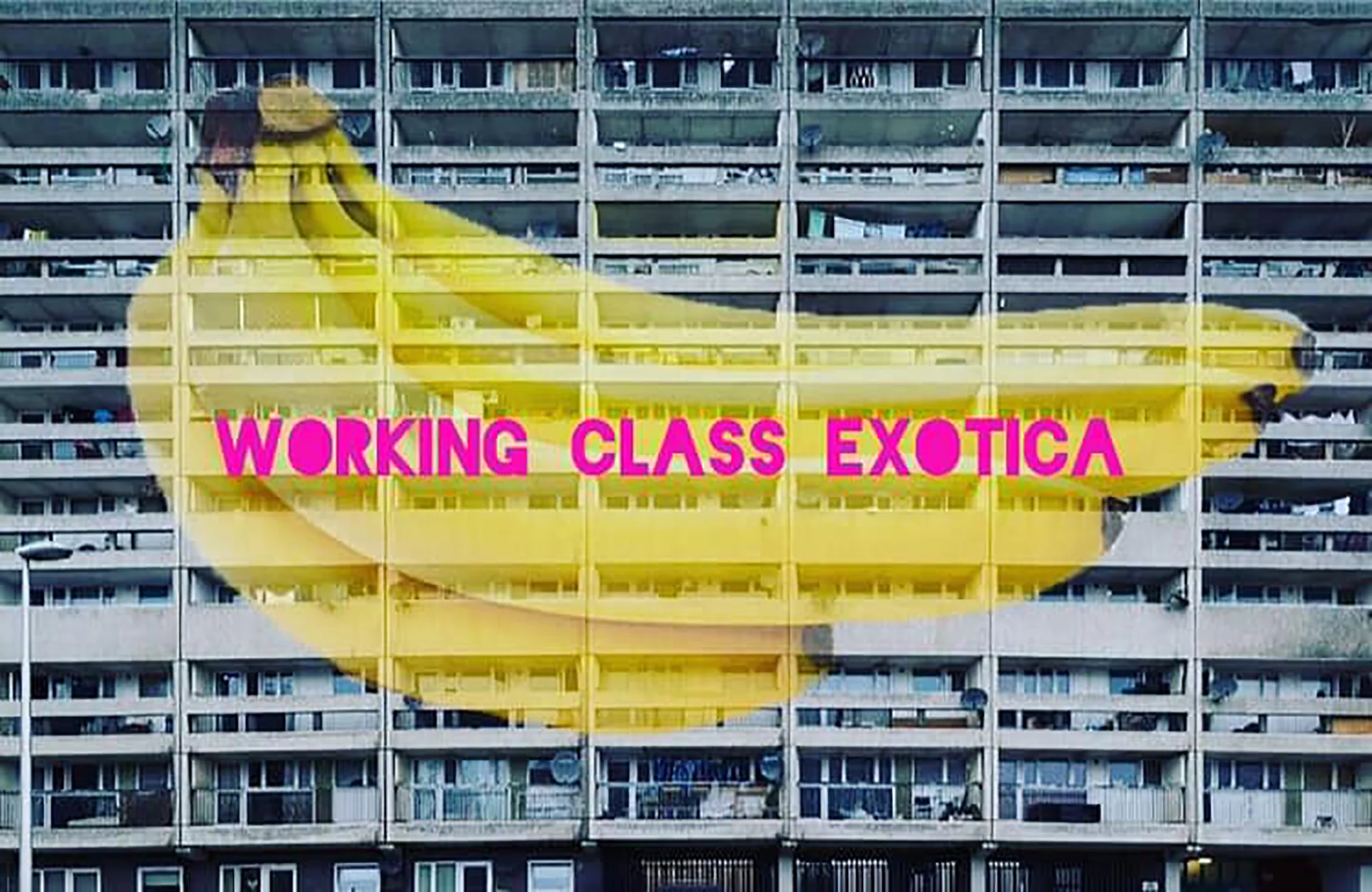 WorkingClassExotica_01_Credit Heather Marshall Creative Electric.jpg