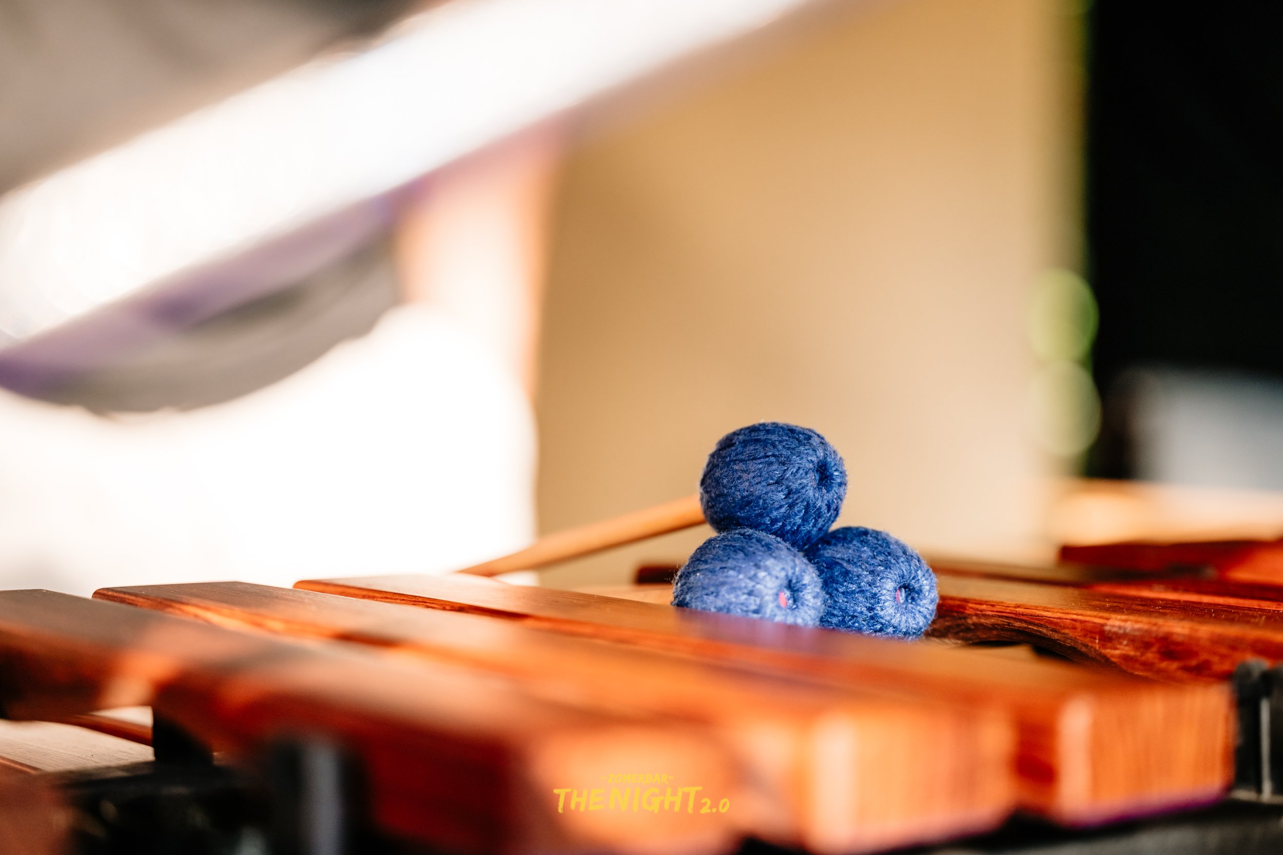 THENIGHT1306 ©sdinnewethbe (002).jpg