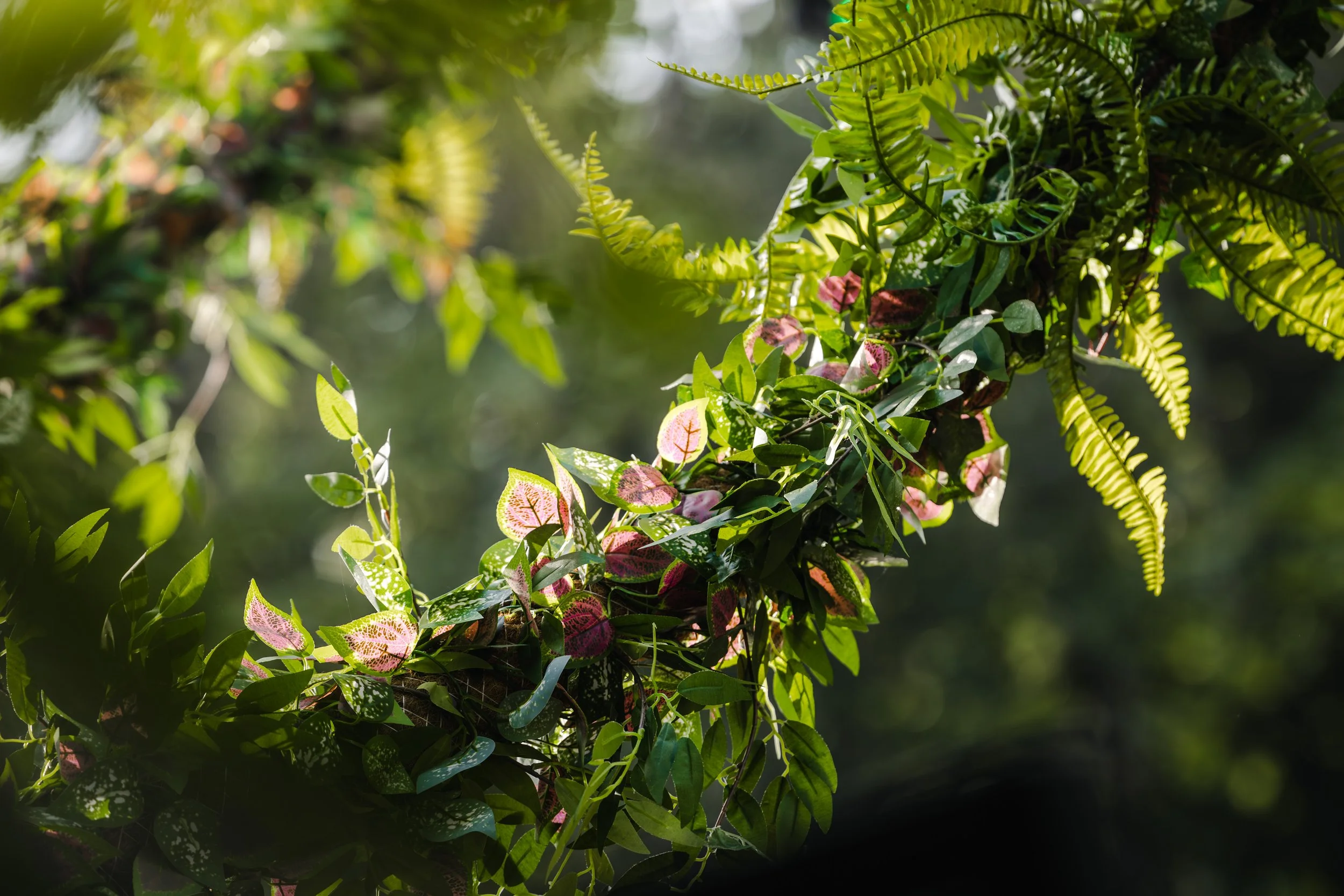 BLOOM2026_High_Res-44.jpg