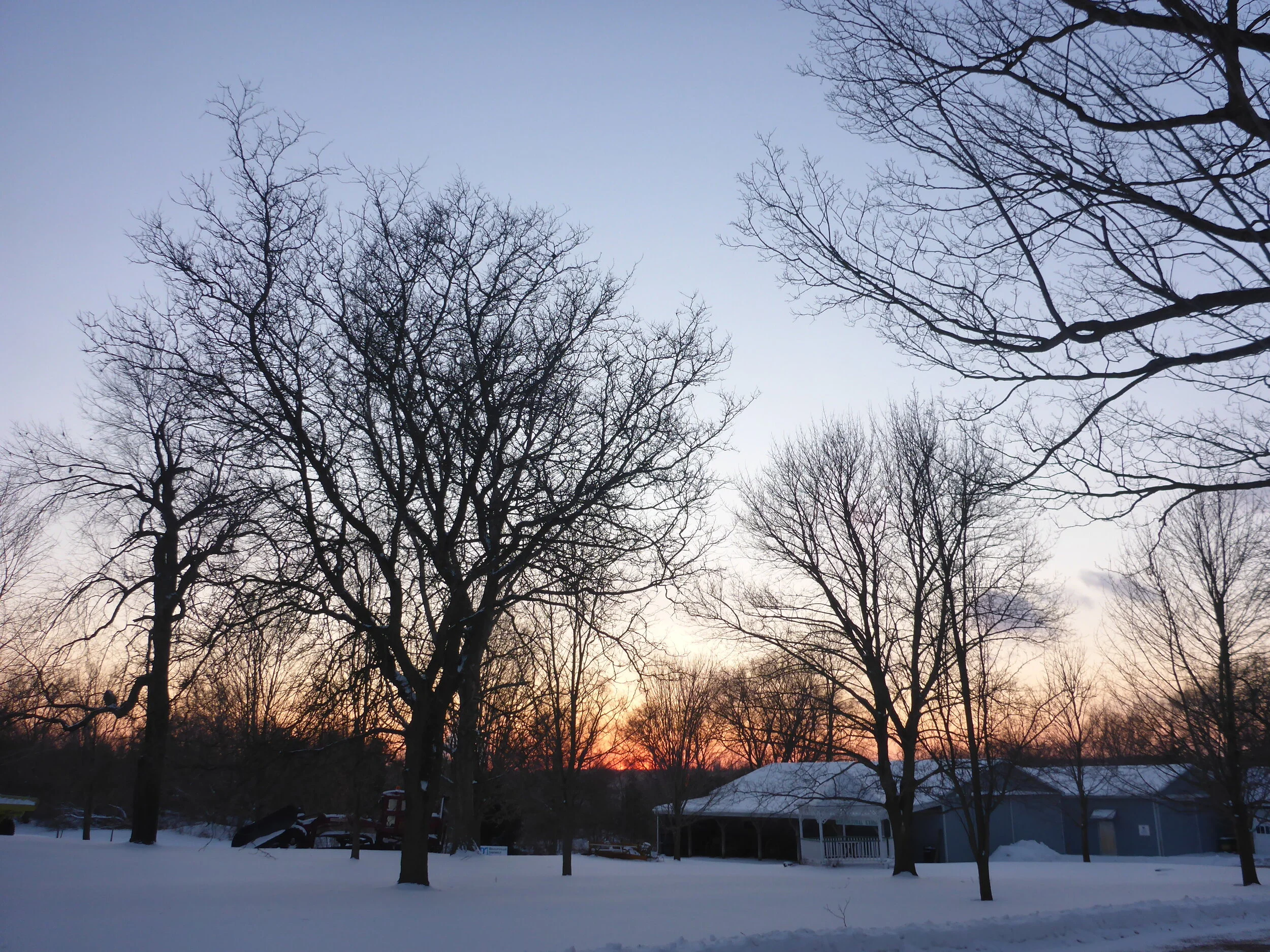 Winter Grounds - Sunset (2).JPG