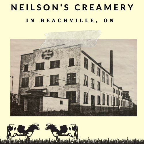 In light of Oxford County's Big Cheese Days going on every Saturday in May, let&rsquo;s explore some of Beachville&rsquo;s involvement in the dairy and cheese industry! Please check out our latest post about the cheese industry and Beachville&rsquo;s