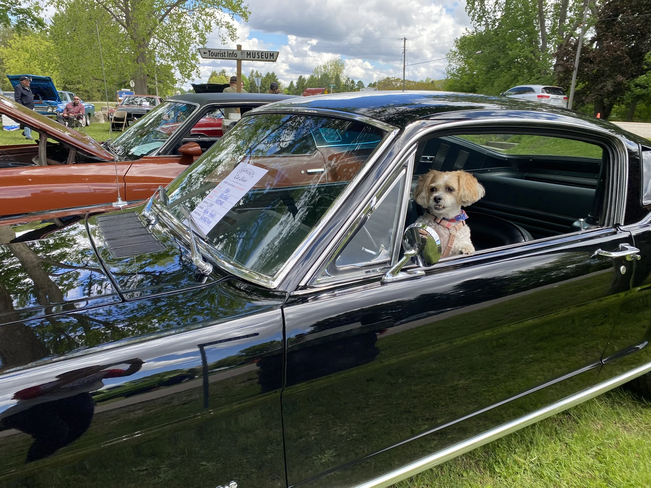 May Community Car Show