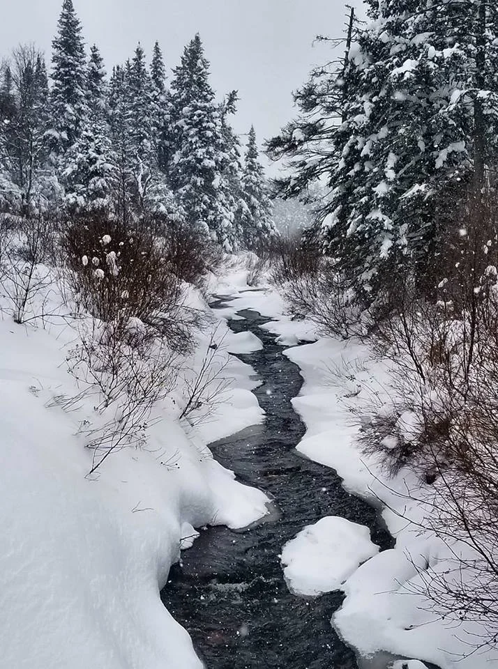 Simone's shot perfectly captures how gorgeous Vermont is this time of year!