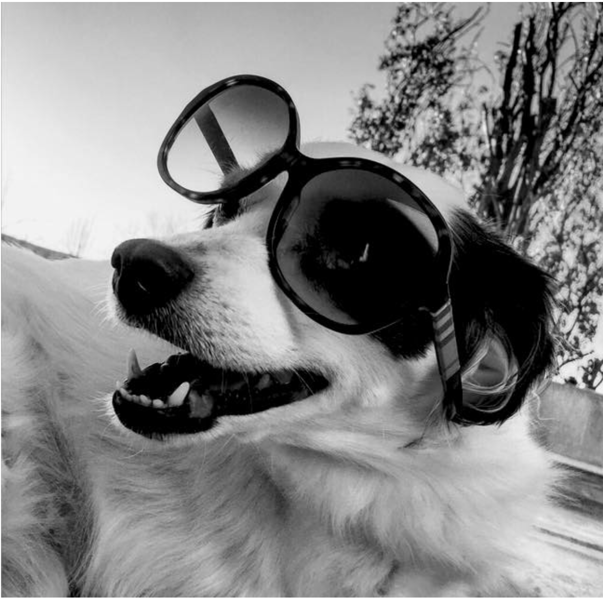 Screen Shot 2018-04-13 at 7.07.14 PM.png