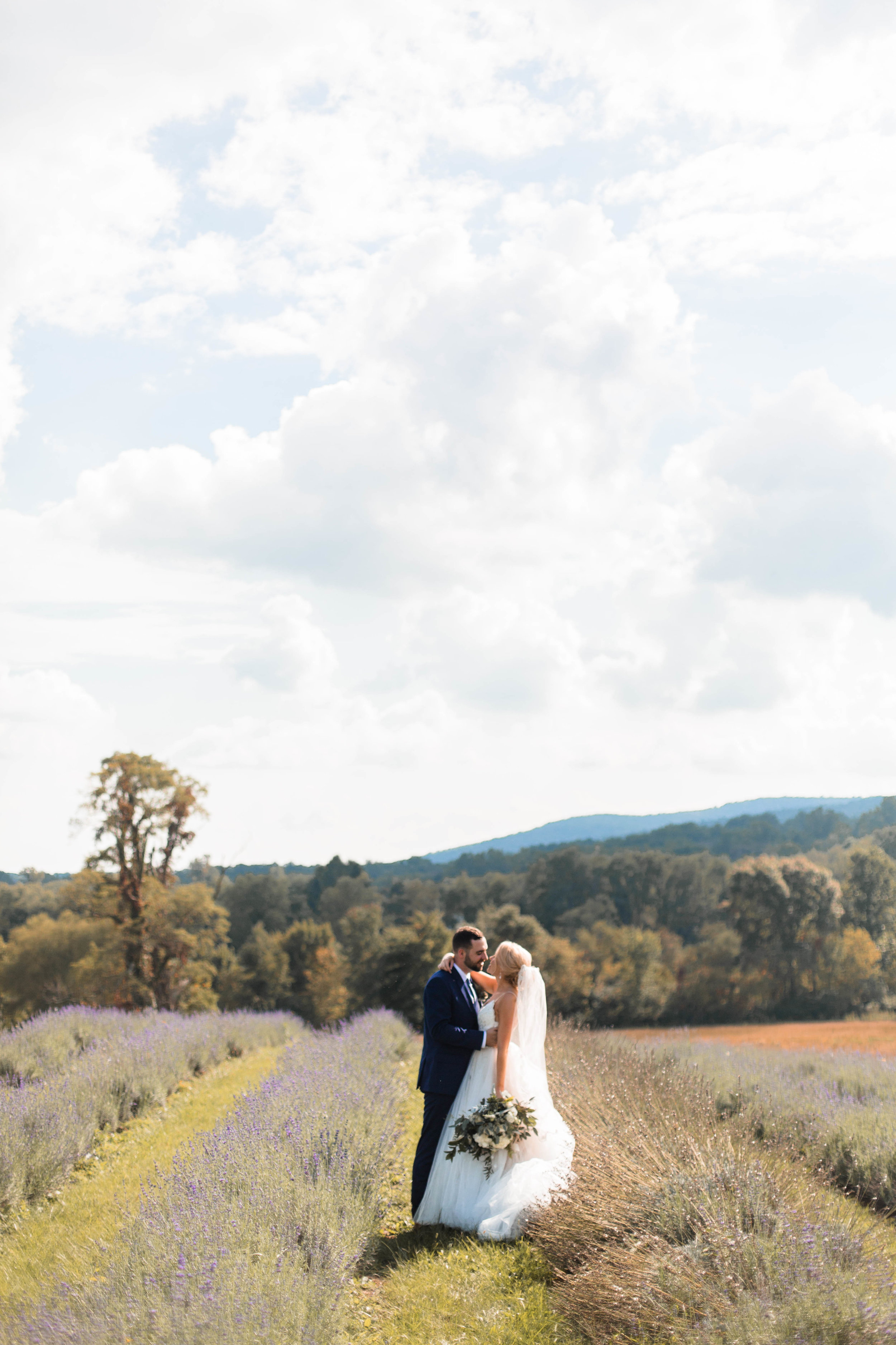 nicole-daacke-photography-intimate-wedding-in-a-lavender-field-washington-state-wedding-photographer-intimate-elopement-golden-lavender-field-wedding-photos-24.jpg