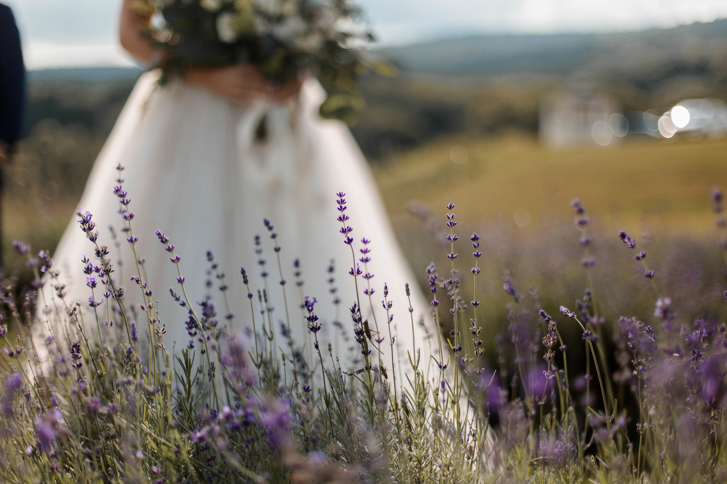 nicole-daacke-photography-intimate-wedding-in-a-lavender-field-washington-state-wedding-photographer-intimate-elopement-golden-lavender-field-wedding-photos-31.jpg