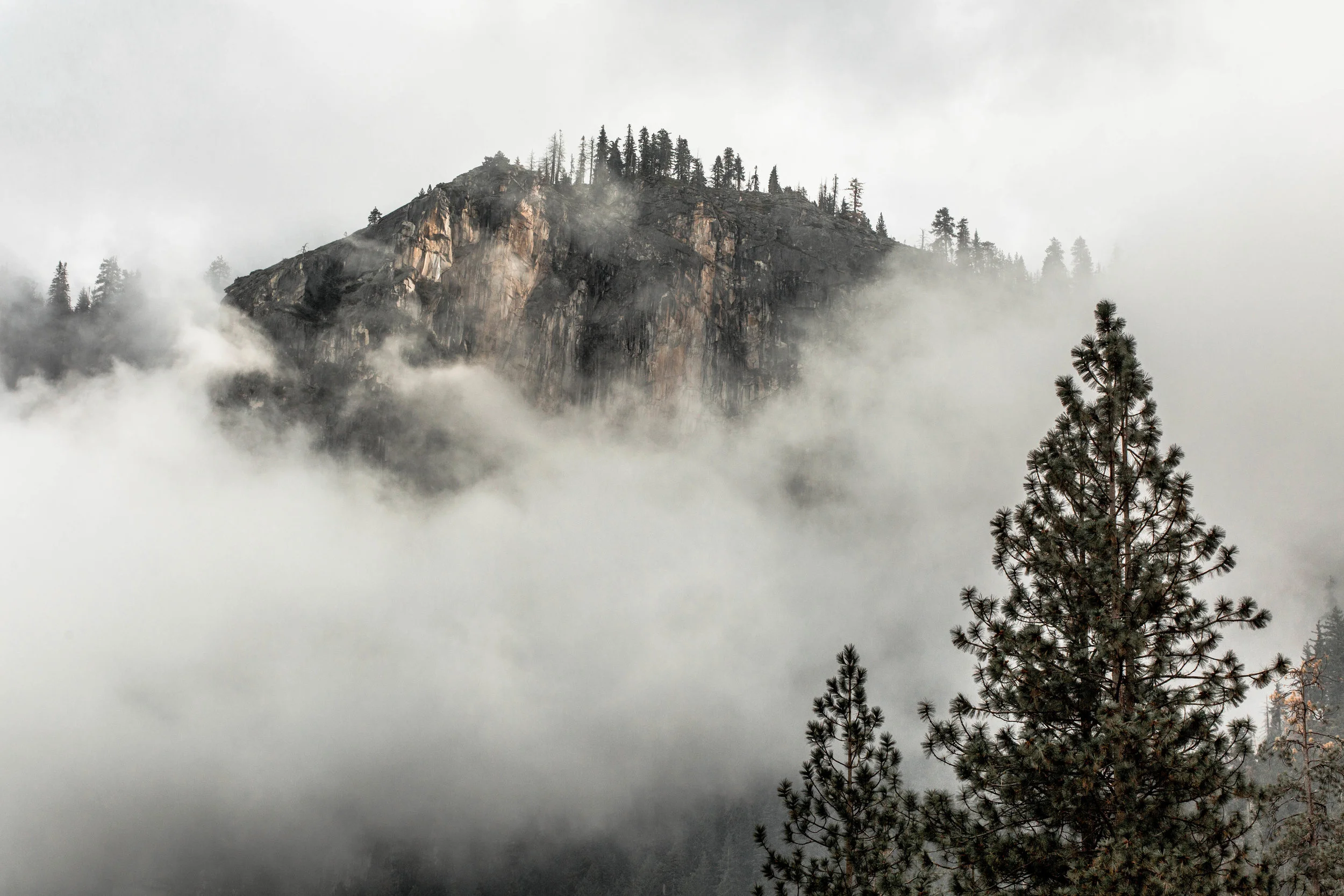 Nicole-Daacke-Photography-Vibrant-Landscape-National-Geographic-Yosemite-National-Park-California-Foggy-Photography-50 copy.jpg