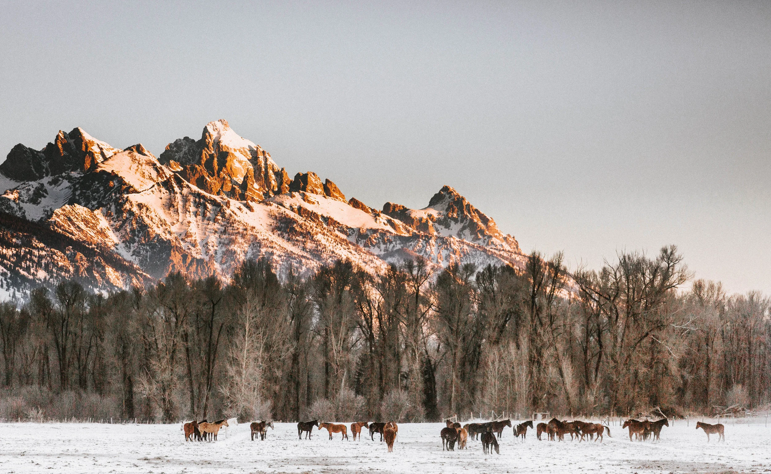Nicole-Daacke-Photography-Vibrant-Landscape-National-Geographic-Jackson-Hole-Wyoming-grand-tetons-Photography-38.jpg