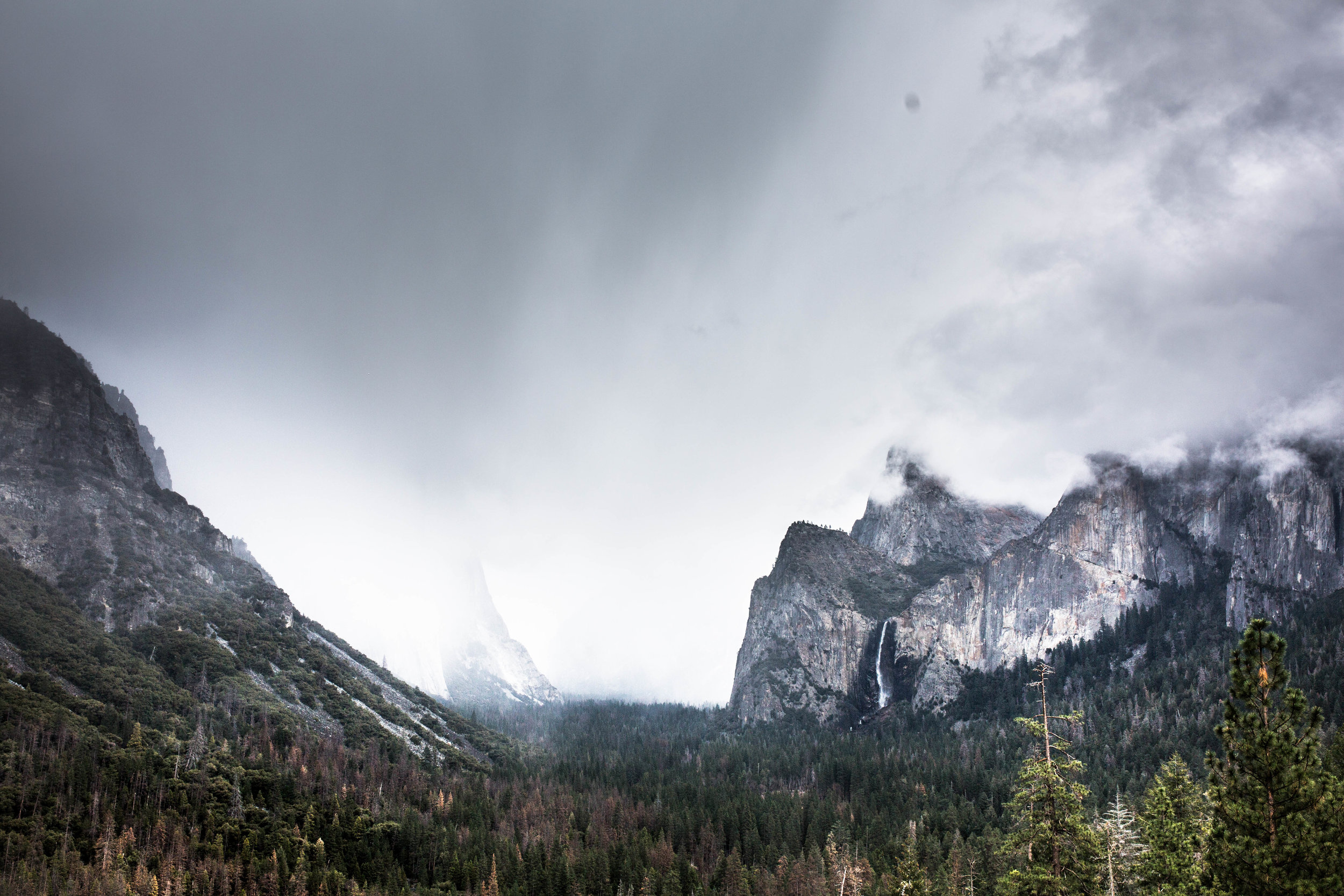 Nicole-Daacke-Photography-Vibrant-Landscape-National-Geographic-Yosemite-National-Park-California-Foggy-Photography-32.jpg