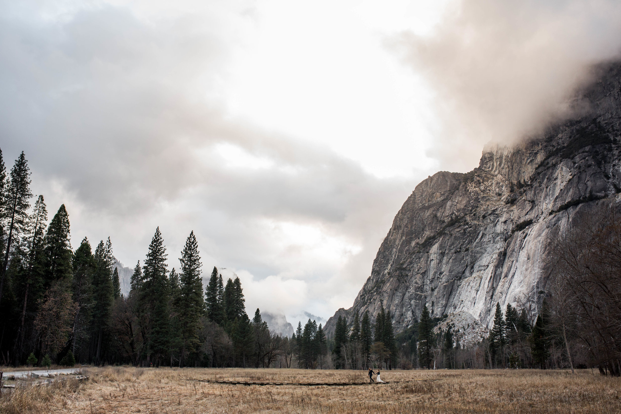 Nicole-Daacke-Photography-Vibrant-Landscape-National-Geographic-Yosemite-National-Park-California-Foggy-Photography-39.jpg