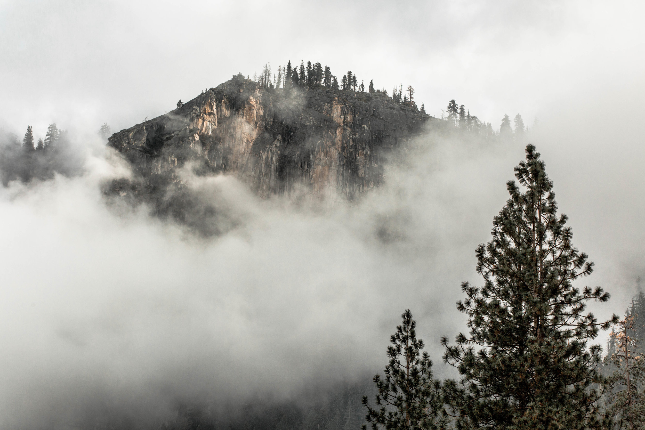 Nicole-Daacke-Photography-Vibrant-Landscape-National-Geographic-Yosemite-National-Park-California-Foggy-Photography-50.jpg