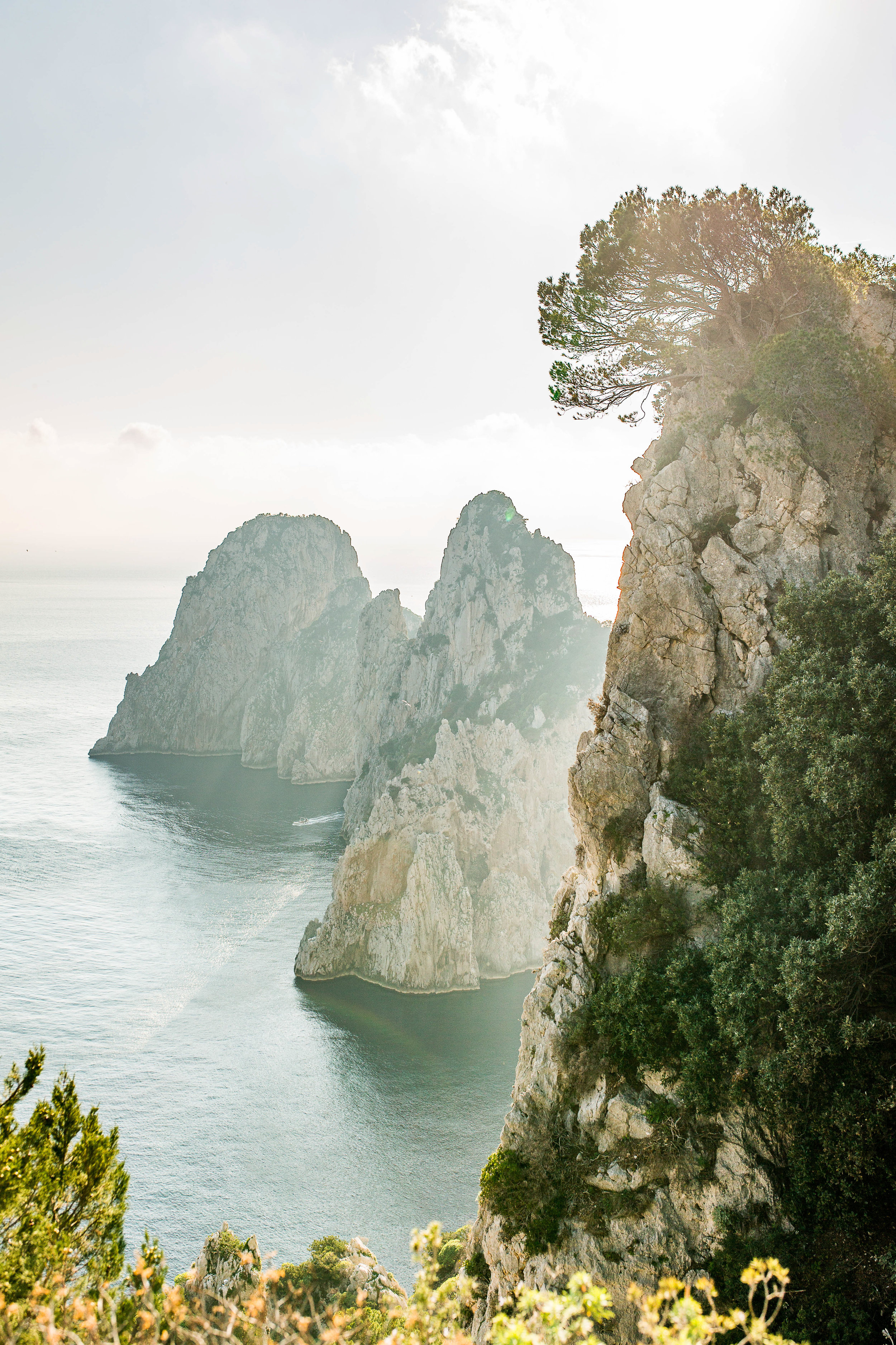 nicole-daacke-photography-destination-elopement-wedding-in-italy-florence-elopement-amalfi-coast-elopement-photographer-positano-photographer-rome-destination-wedding-photographer-italy-italian-landscapes-italy-adventure-itinerary -0565.jpg