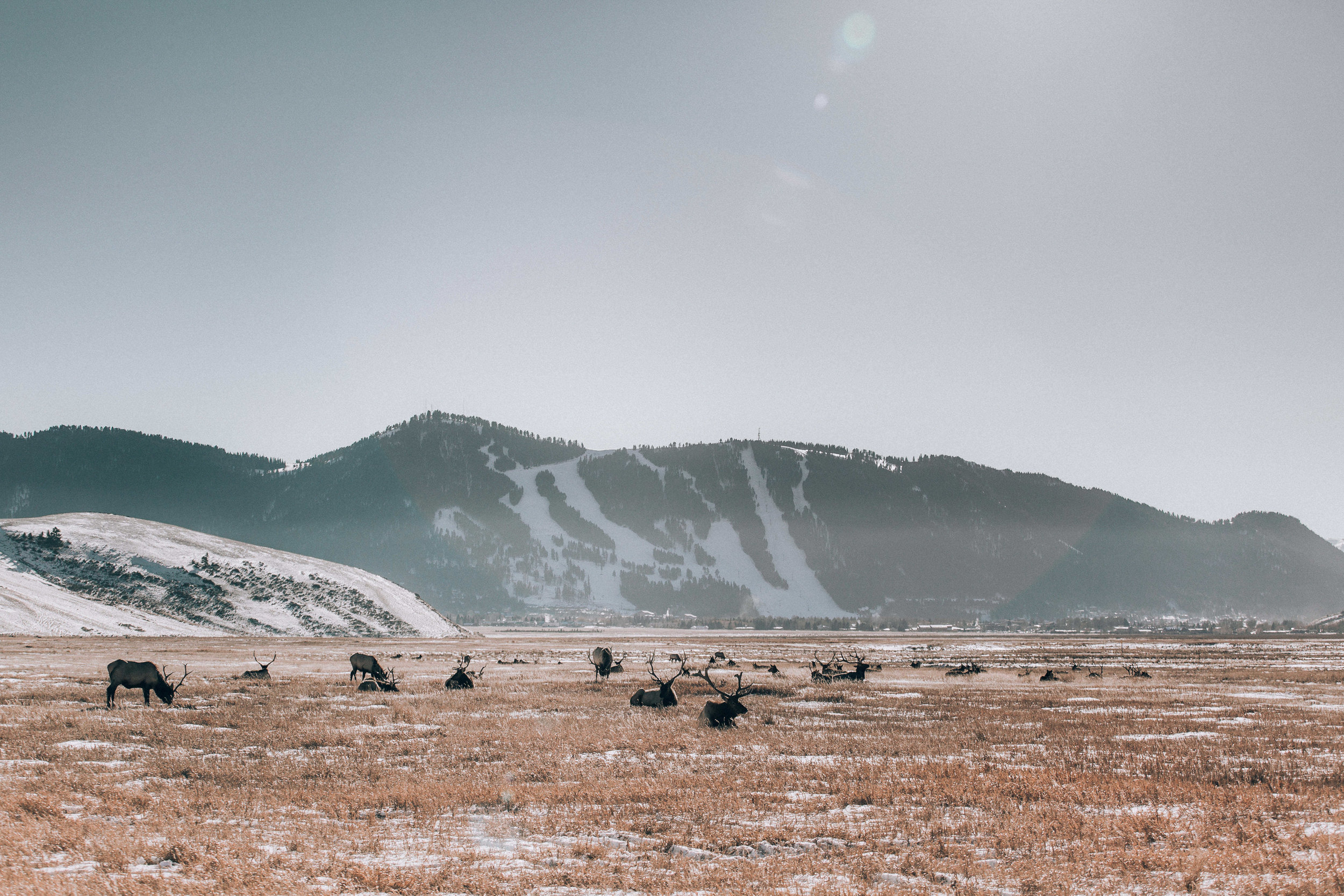 nicole-daacke-photography-jackson-hole-grand-teton-national-park-elopement-wedding-photographer-adventurous-engagement-session-grand-tetons-snow-visit-itinerary-for-jackson-hole-wyoming-9414.jpg