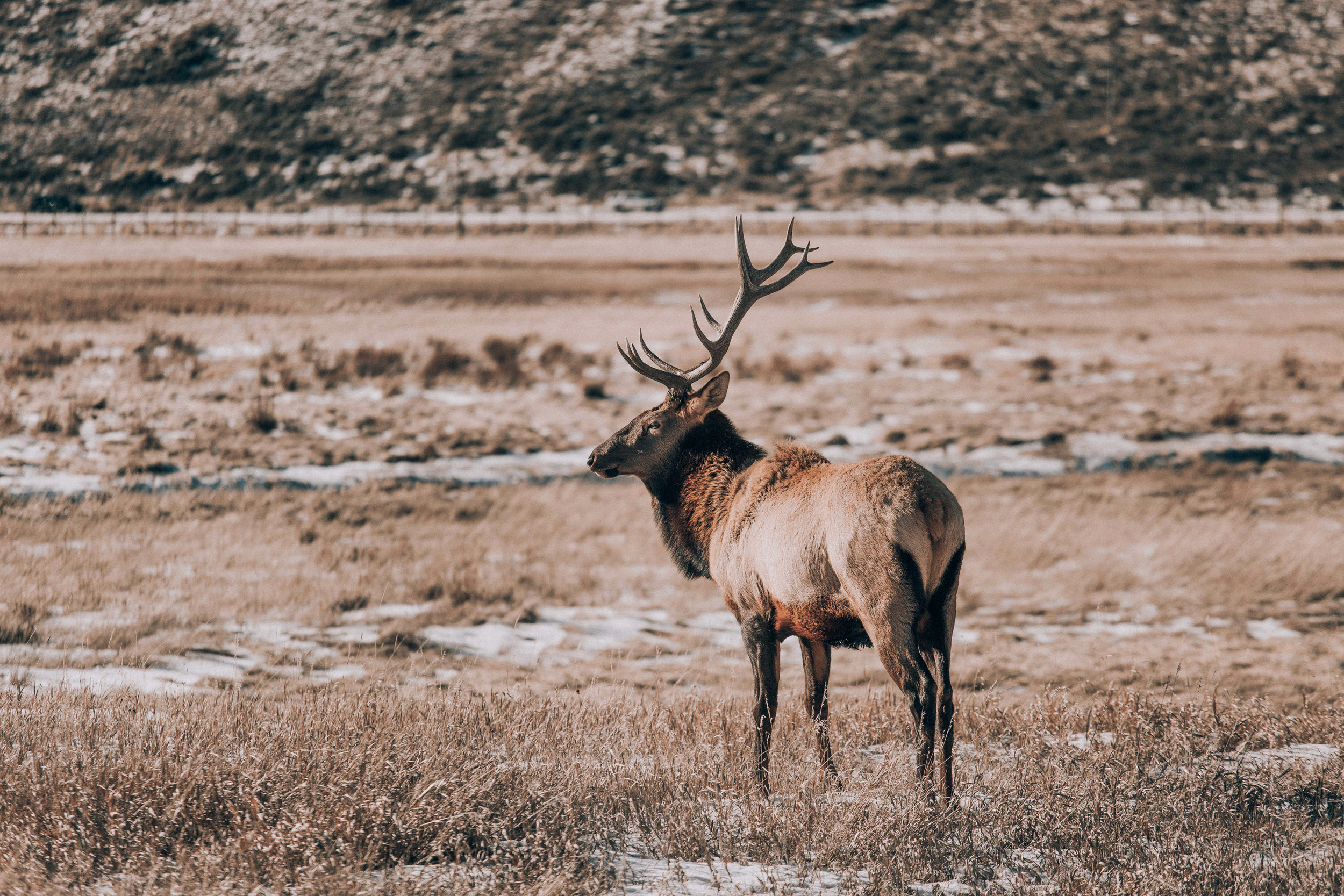 nicole-daacke-photography-jackson-hole-grand-teton-national-park-elopement-wedding-photographer-adventurous-engagement-session-grand-tetons-snow-visit-itinerary-for-jackson-hole-wyoming-9415.jpg