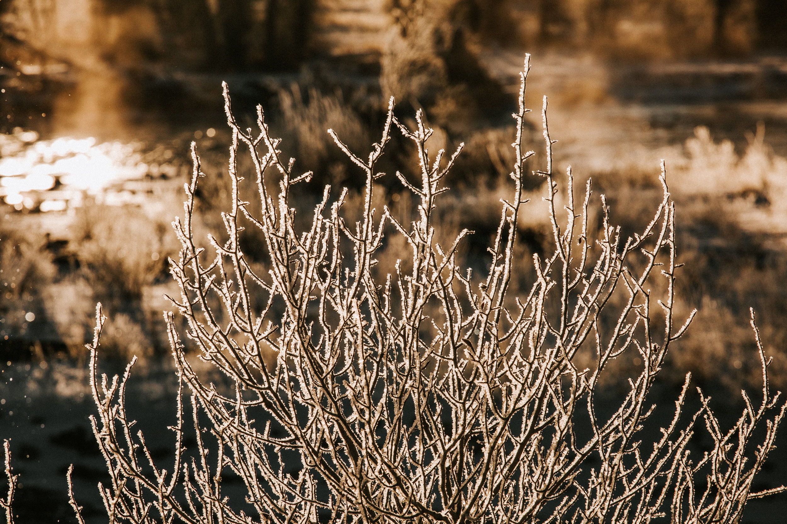 nicole-daacke-photography-jackson-hole-grand-teton-national-park-elopement-wedding-photographer-adventurous-engagement-session-grand-tetons-snow-visit-itinerary-for-jackson-hole-wyoming-9677.jpg