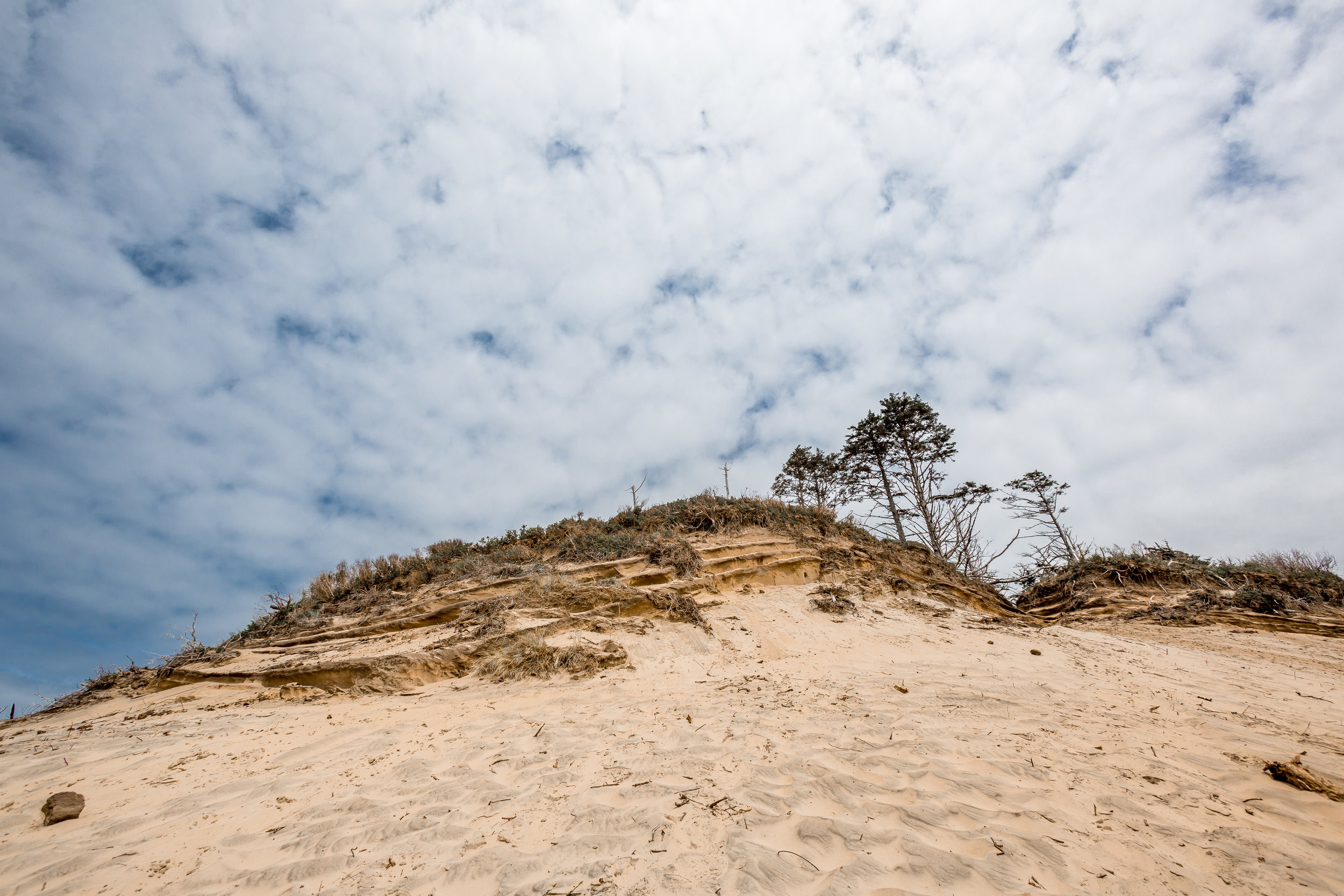 nicole-daacke-photography-oregon-coast-landscapes-elopement-photographer-wedding-photography-adventure-lifestyle-roadtrip-along-oregon-coast-cape-kiwanda-oceanside-beach-cannon-beach-oregon-pnw-11.jpg