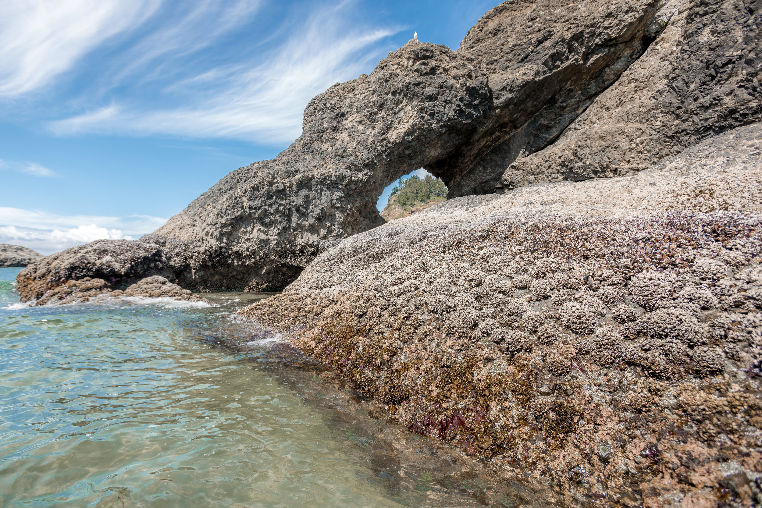 nicole-daacke-photography-oregon-coast-landscapes-elopement-photographer-wedding-photography-adventure-lifestyle-roadtrip-along-oregon-coast-cape-kiwanda-oceanside-beach-cannon-beach-oregon-pnw-15.jpg