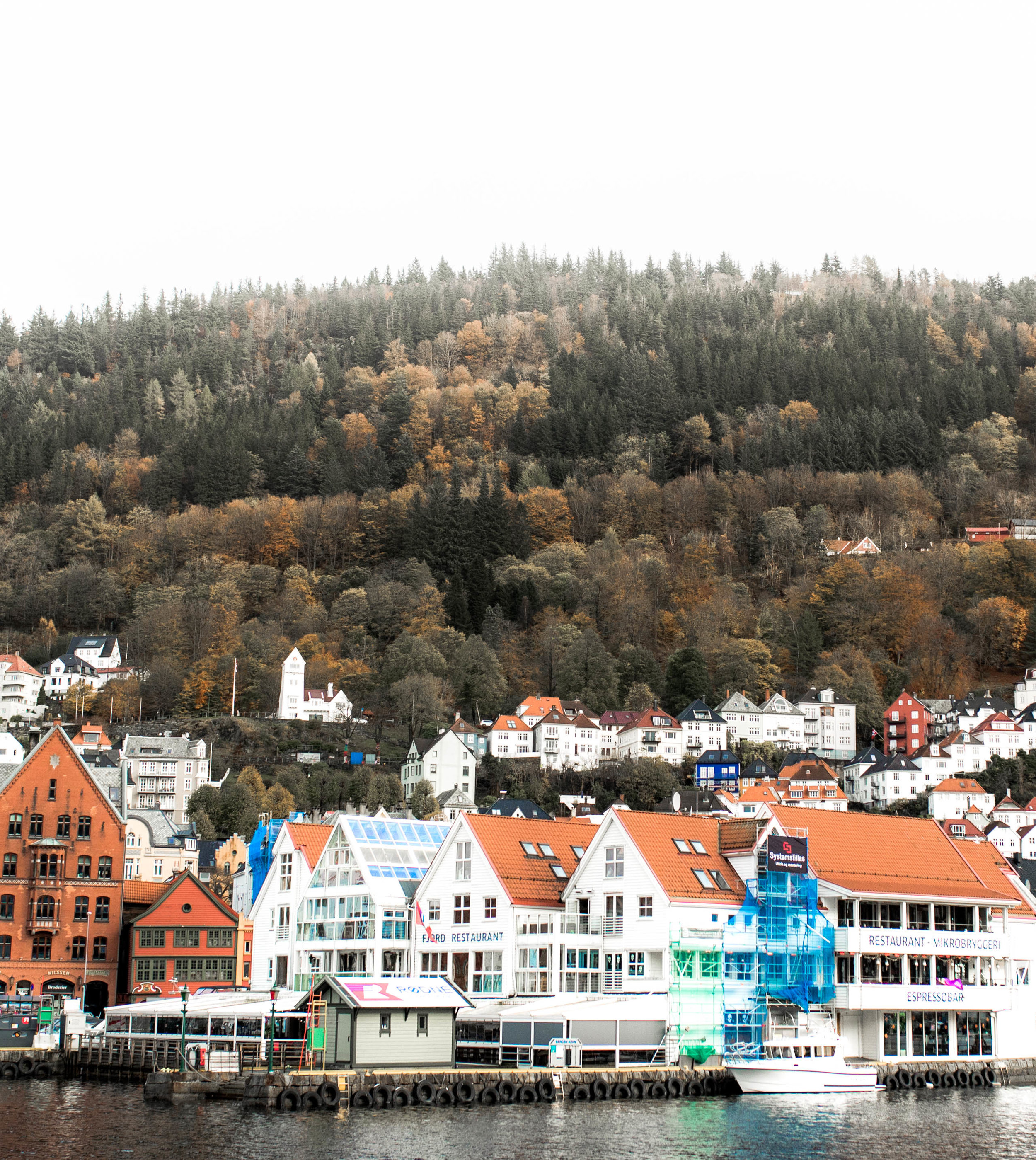 nicole-daacke-photography-norway-bergen-norway-in-a-nutshell-landscapes-elopement-photographer-photography-fall-october-norwegian-air-explore-adventure-4.jpg