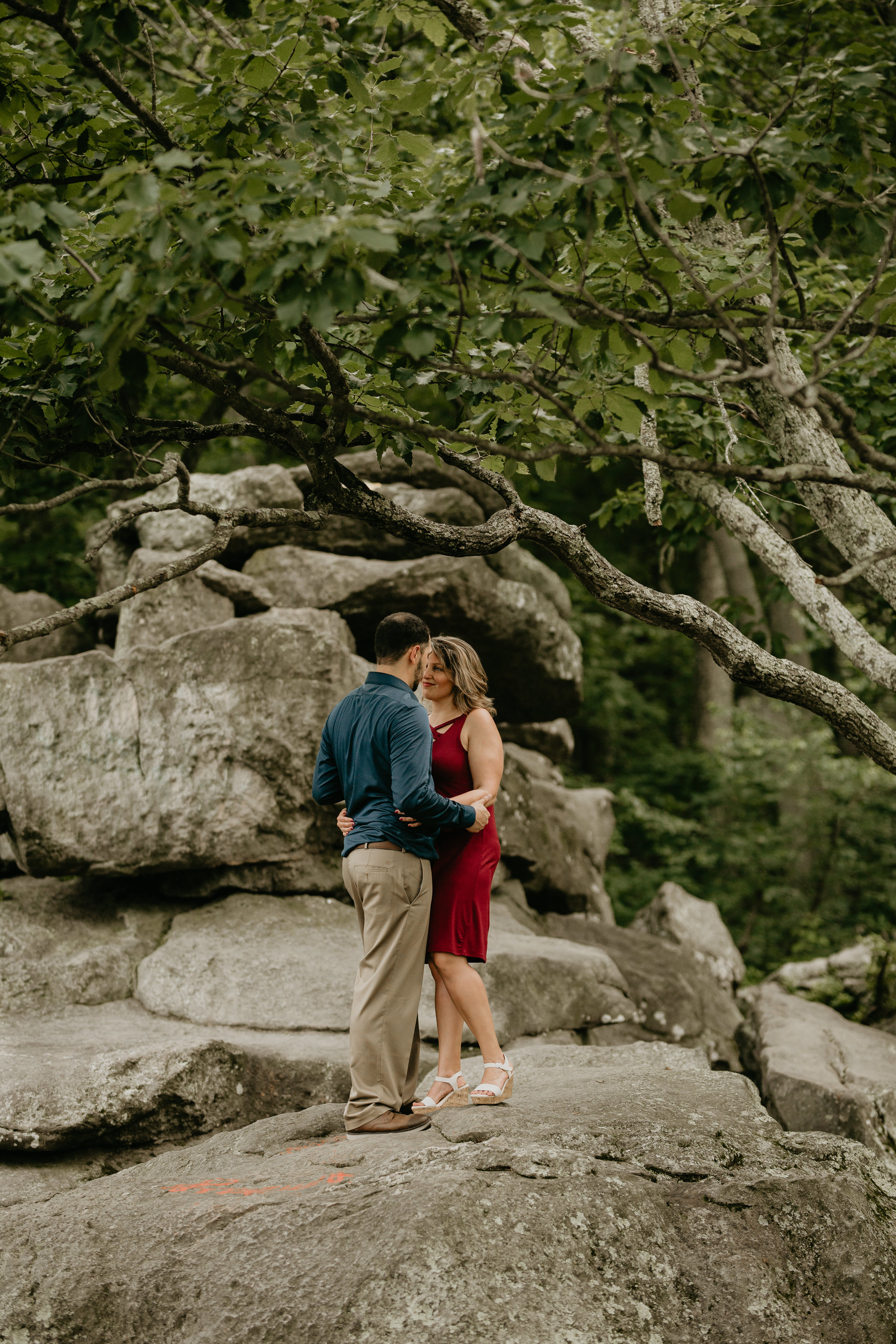 Nicole-Daacke-Photography-rock-state-park-overlook-king-queen-seat-maryland-hiking-adventure-engagement-session-photos-portraits-summer-bel-air-dog-engagement-session-17.jpg