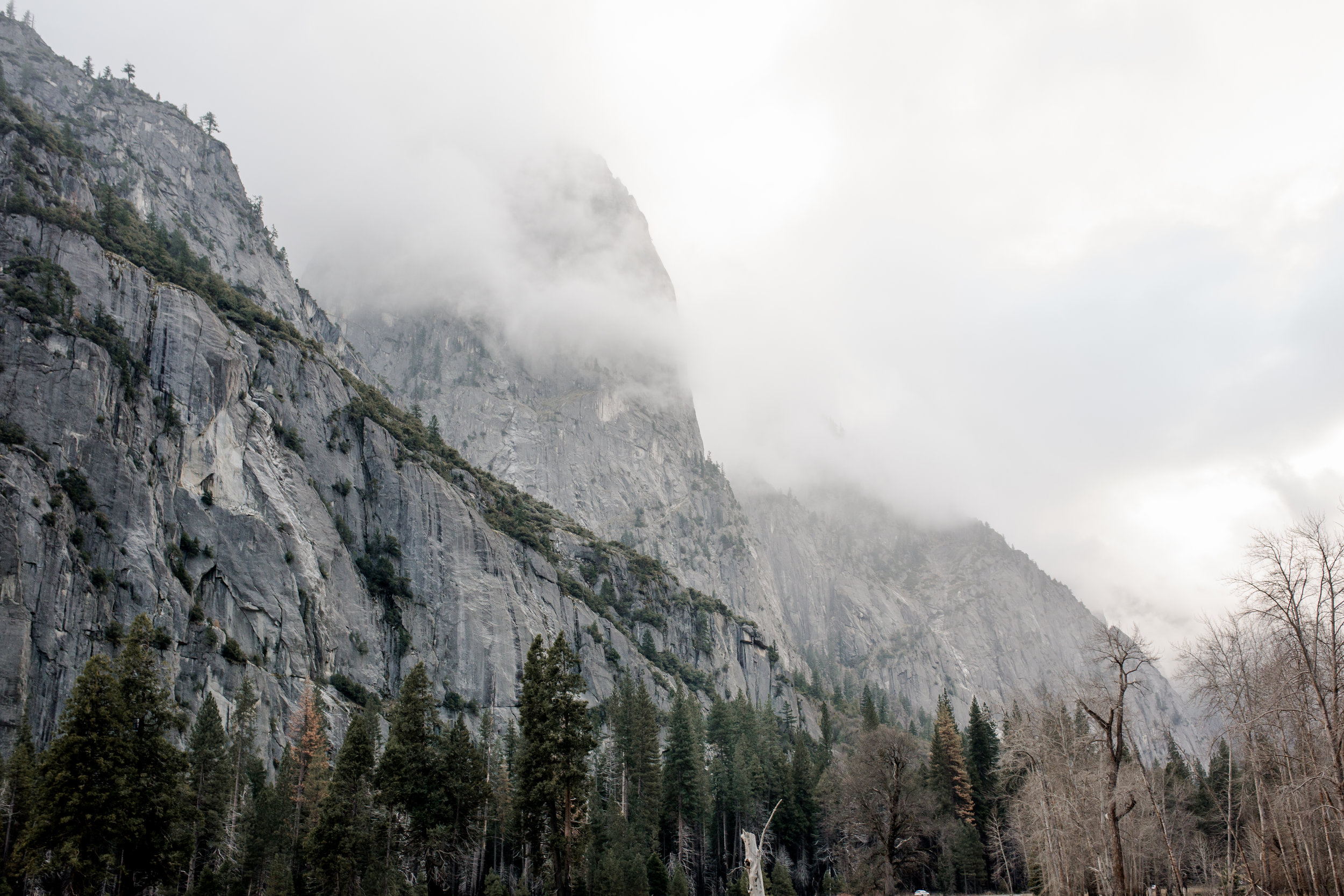 nicole-daacke-photography-yousemite-national-park-elopement-photographer-winter-cloud-moody-elope-inspiration-yosemite-valley-tunnel-view-winter-cloud-fog-weather-wedding-photos-85.jpg