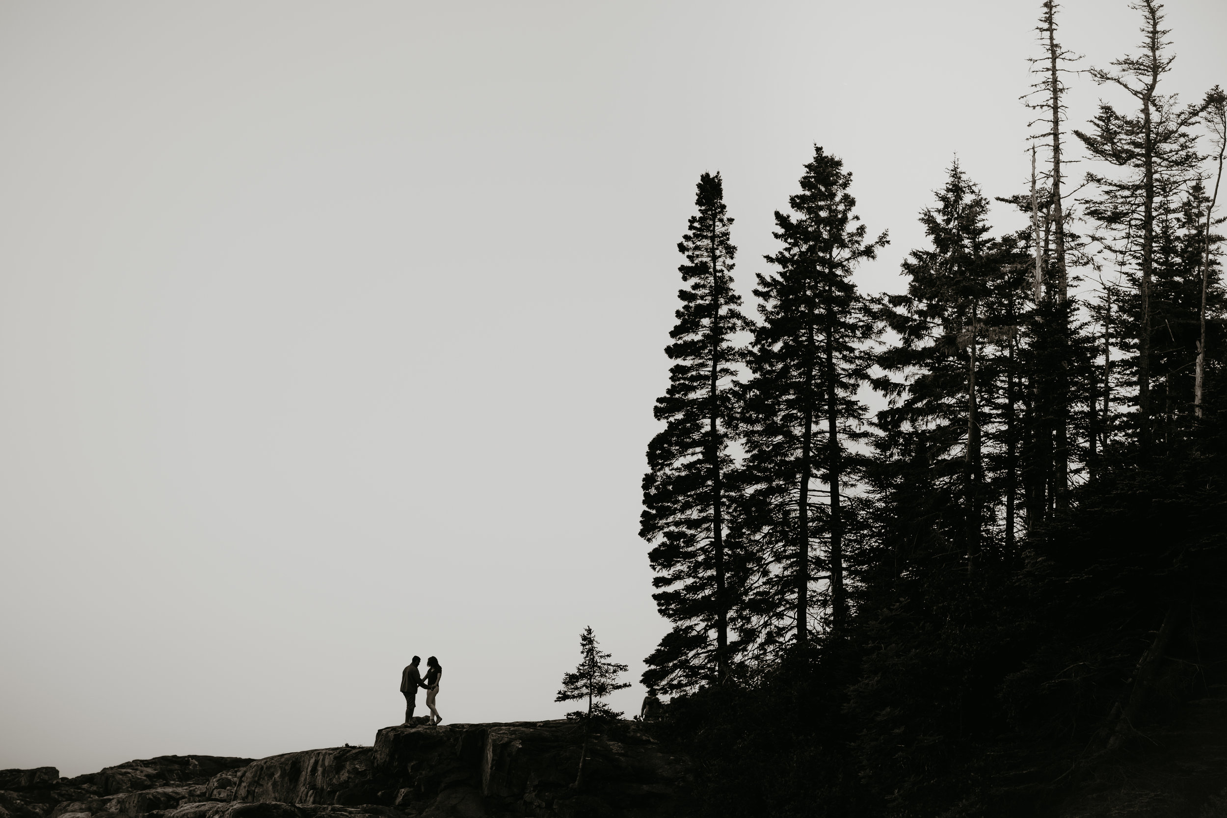 nicole-daacke-photography-acadia-national-park-engagement-photos-session-little-hunters-beach-sunset-cadillac-mountain-thunder-hole-otter-cliffs-couples-session-acadia-elopement-photographer-pine-trees-ocean-maine-76.jpg