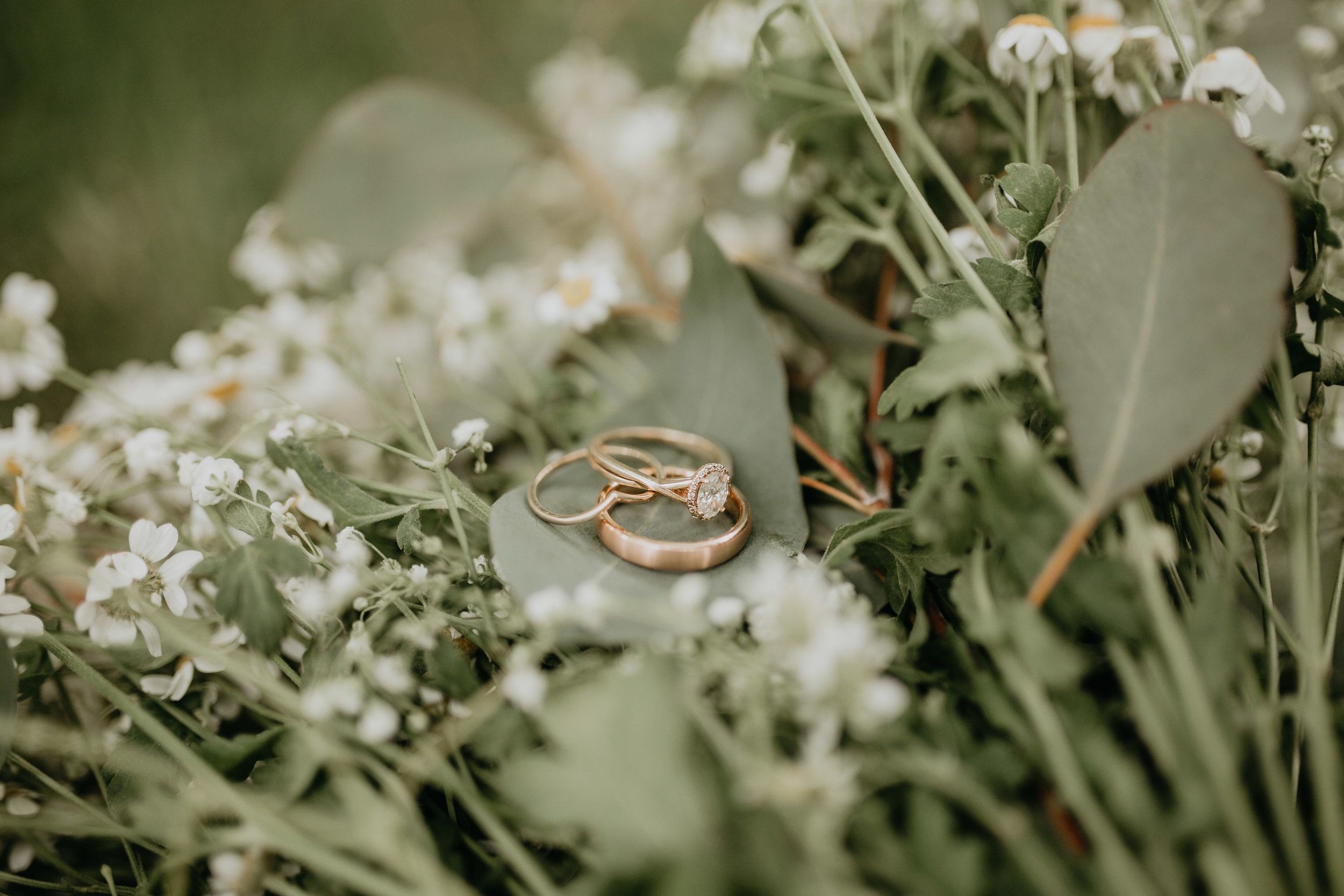 Nicole-Daacke-Photography-pennsylvania-laid-back-outside-backyard-wedding-family-summer-june-maryland-barefoot-bride-woodland-trees-sunset-couple-66.jpg