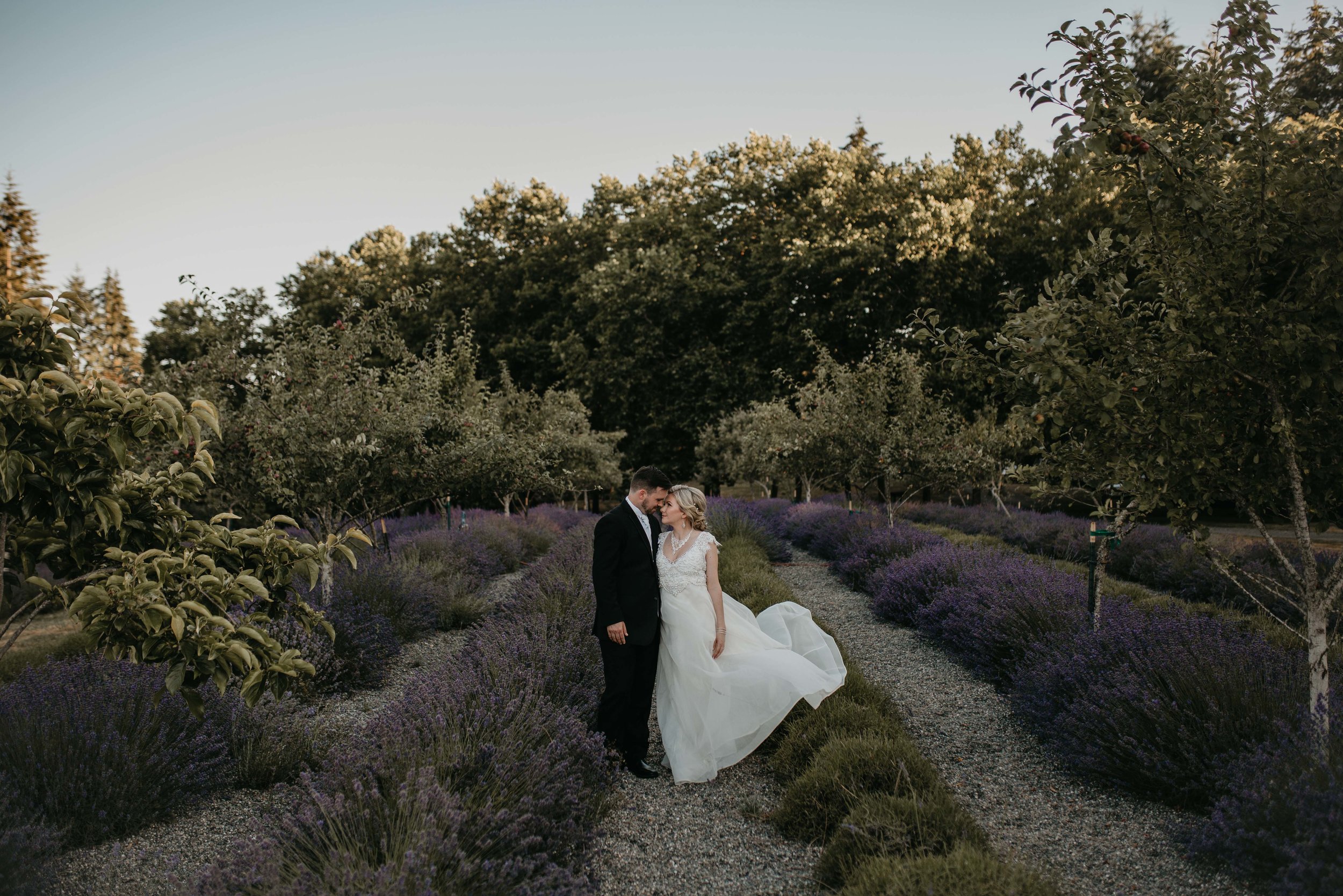 nicole-daacke-photography-kingston-house-bainbride-washington-wedding-photography-summer-wedding-lavendar-field-pacific-northwest-wedding-glam-forest-elopement-photographer-81.jpg