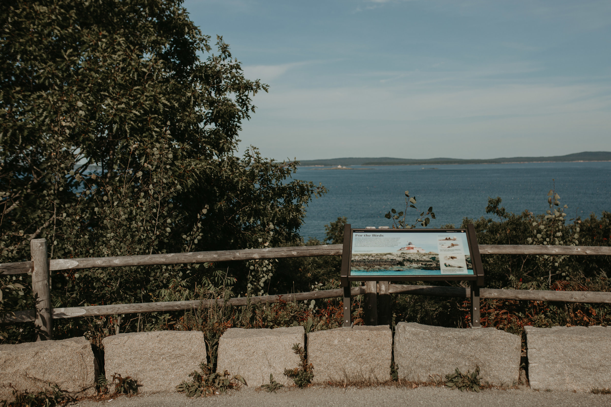 nicole-daacke-photography-Elopement-rocky-shoreline-coast-Acadia-National-Park-elopement-photographer-inspiration-maine-elopement-otter-cliffs-schoonic-head-point-11.jpg