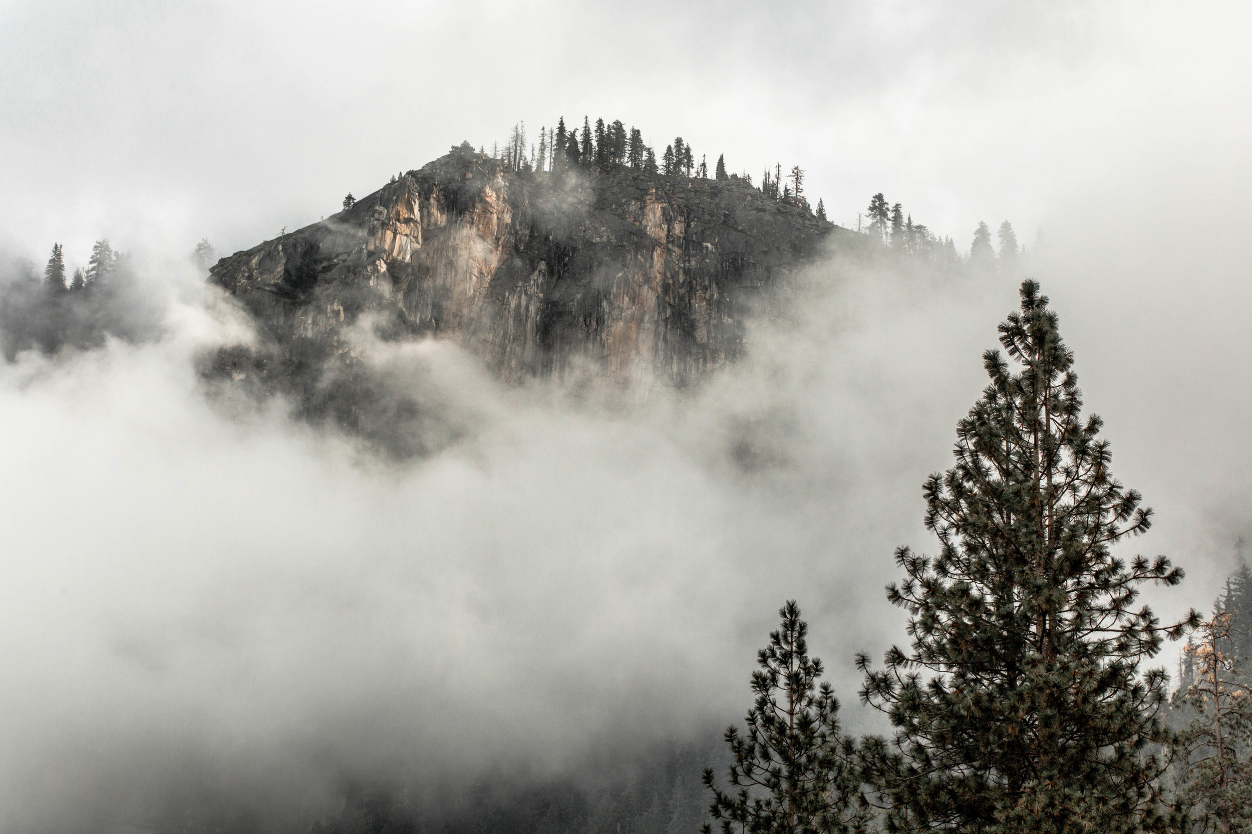 Nicole-Daacke-Photography-Vibrant-Landscape-National-Geographic-Yosemite-National-Park-California-Foggy-Photography-50.JPG