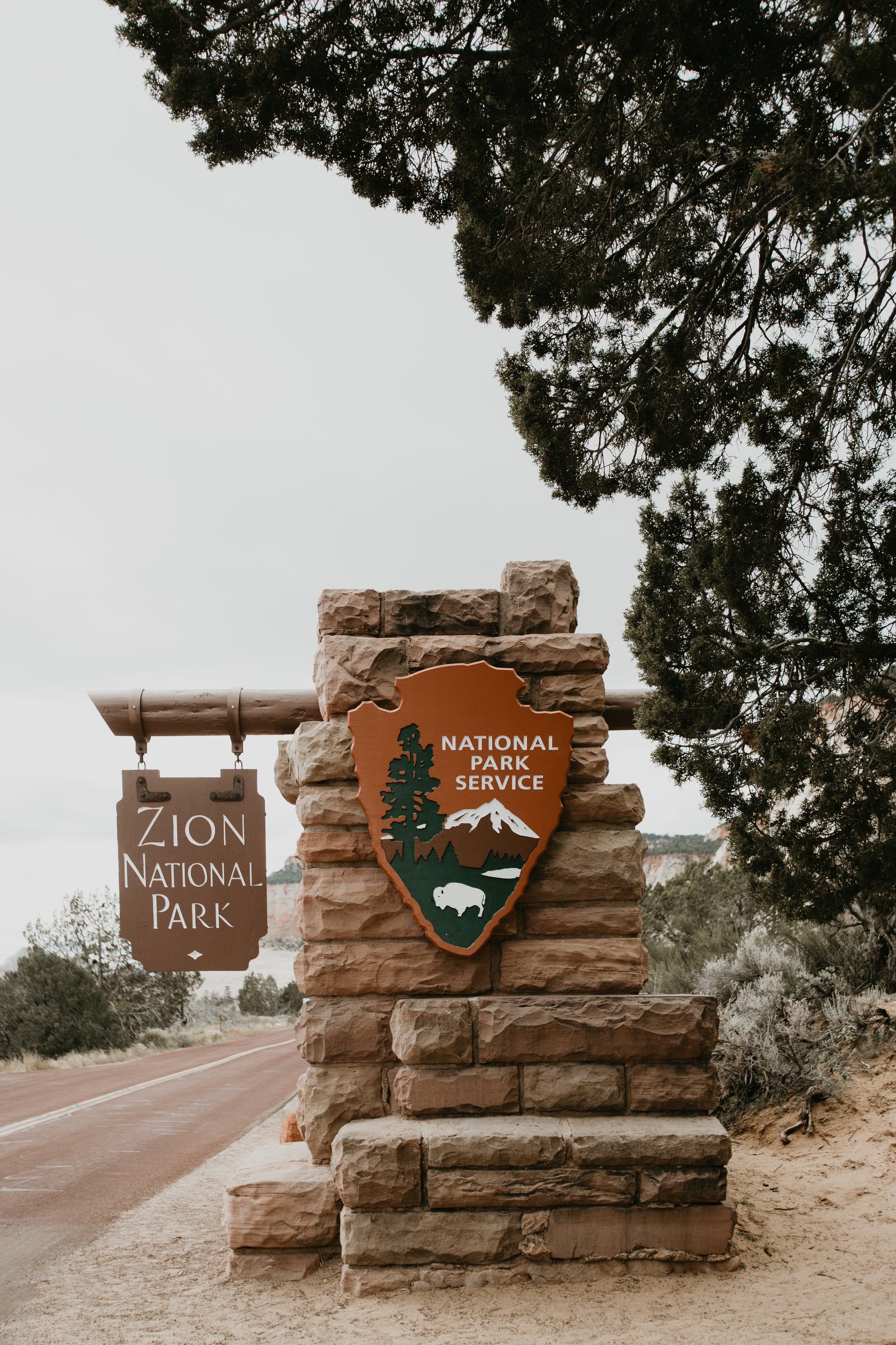 nicole-daacke-photography-zion-national-park-elopement-photographer-canyon-overlook-trail-elope-hiking-adventure-wedding-photos-fall-utah-red-rock-canyon-stgeorge-eloping-photographer-1.jpg