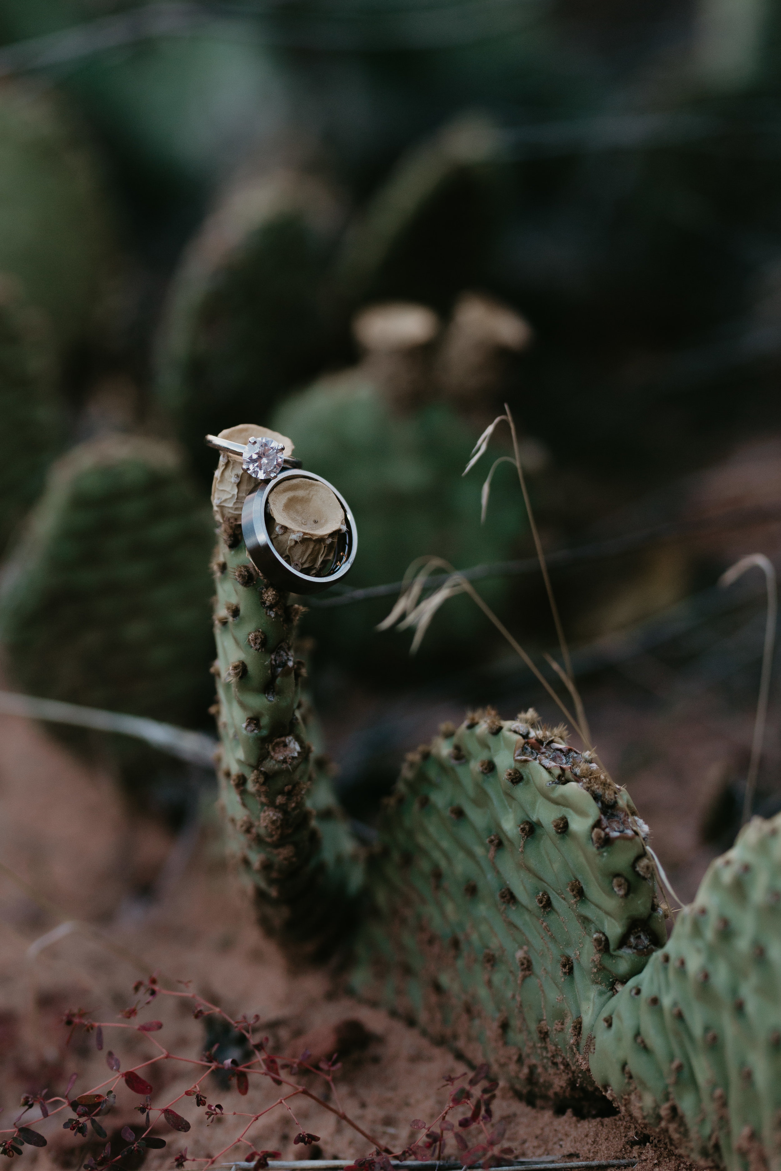 nicole-daacke-photography-zion-national-park-elopement-photographer-canyon-overlook-trail-elope-hiking-adventure-wedding-photos-fall-utah-red-rock-canyon-stgeorge-eloping-photographer-5.jpg